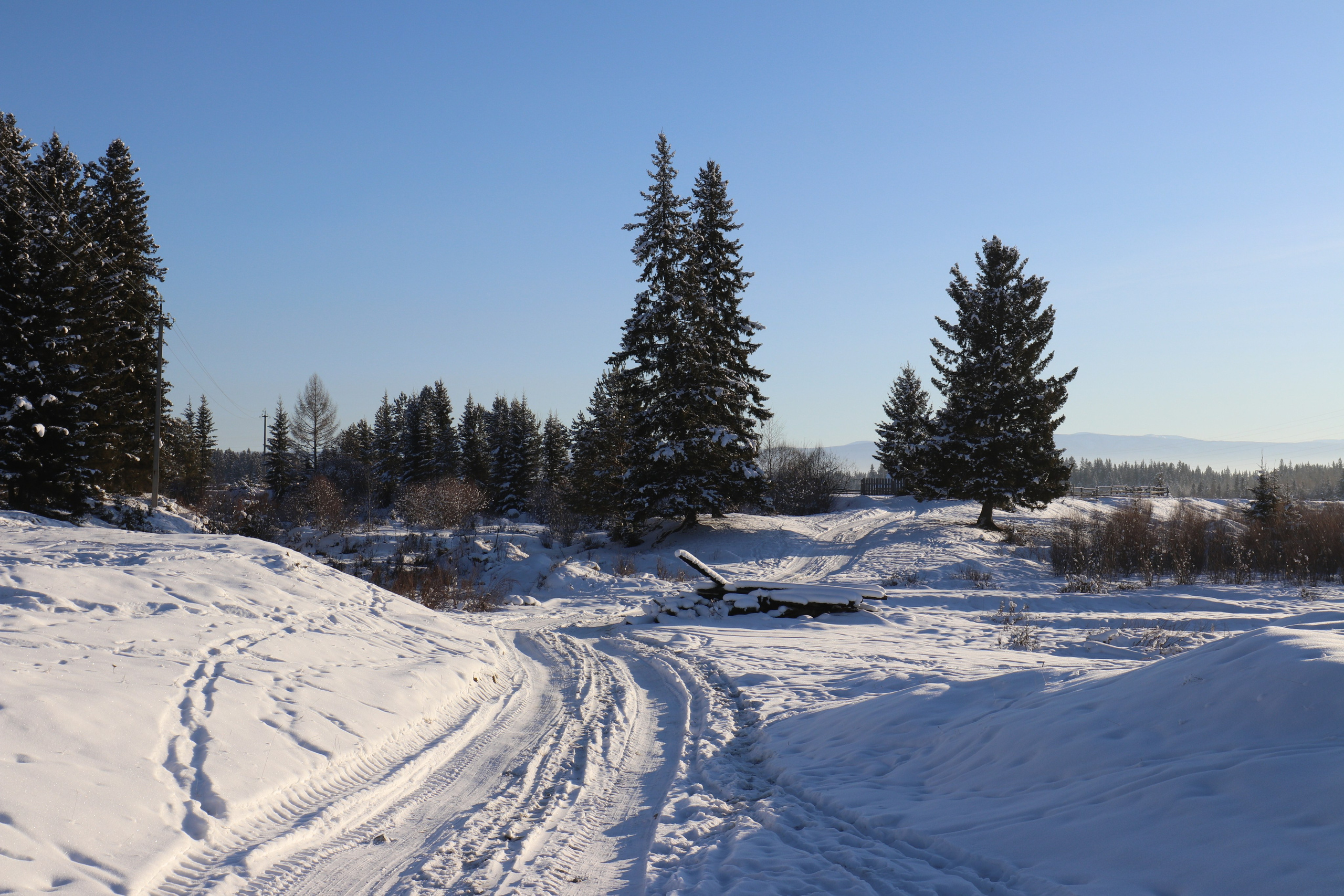 Аршан. Январь 2022. Путешественник-фотограф из Санкт-Петербурга Татьяна Свистулина