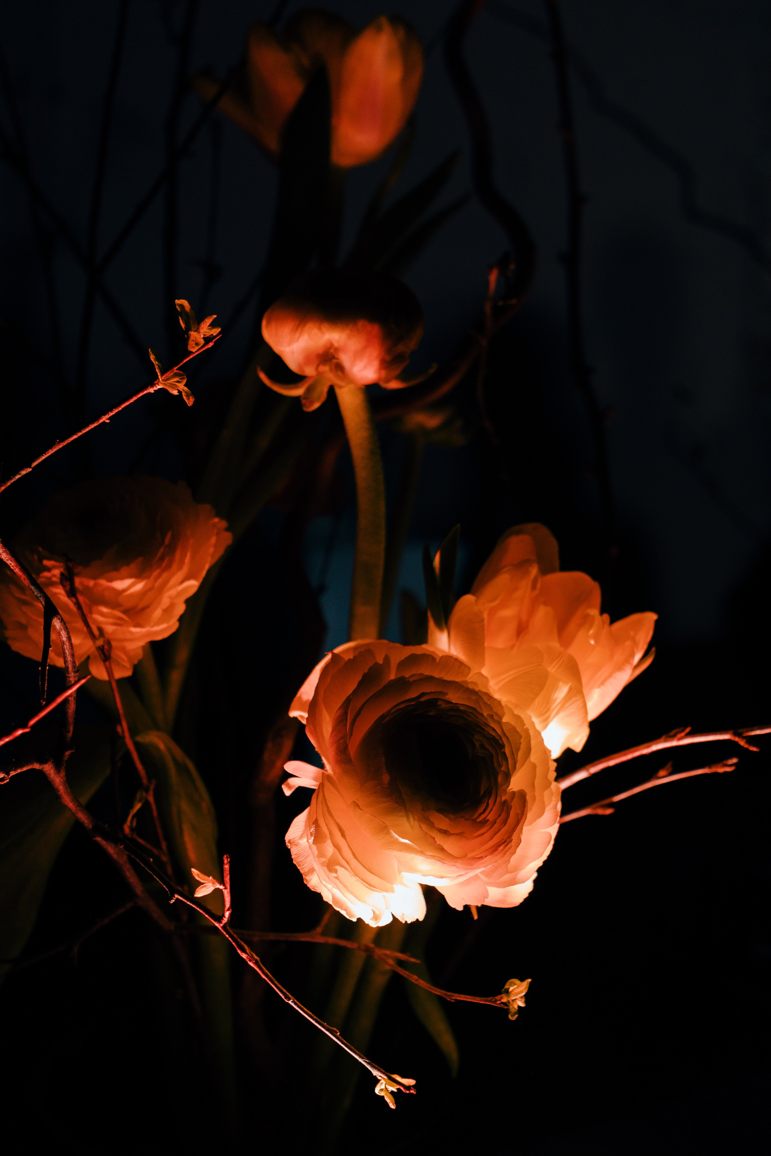 AUXI Noise 24. Fashion Фотограф в СПб Yana Kochkina