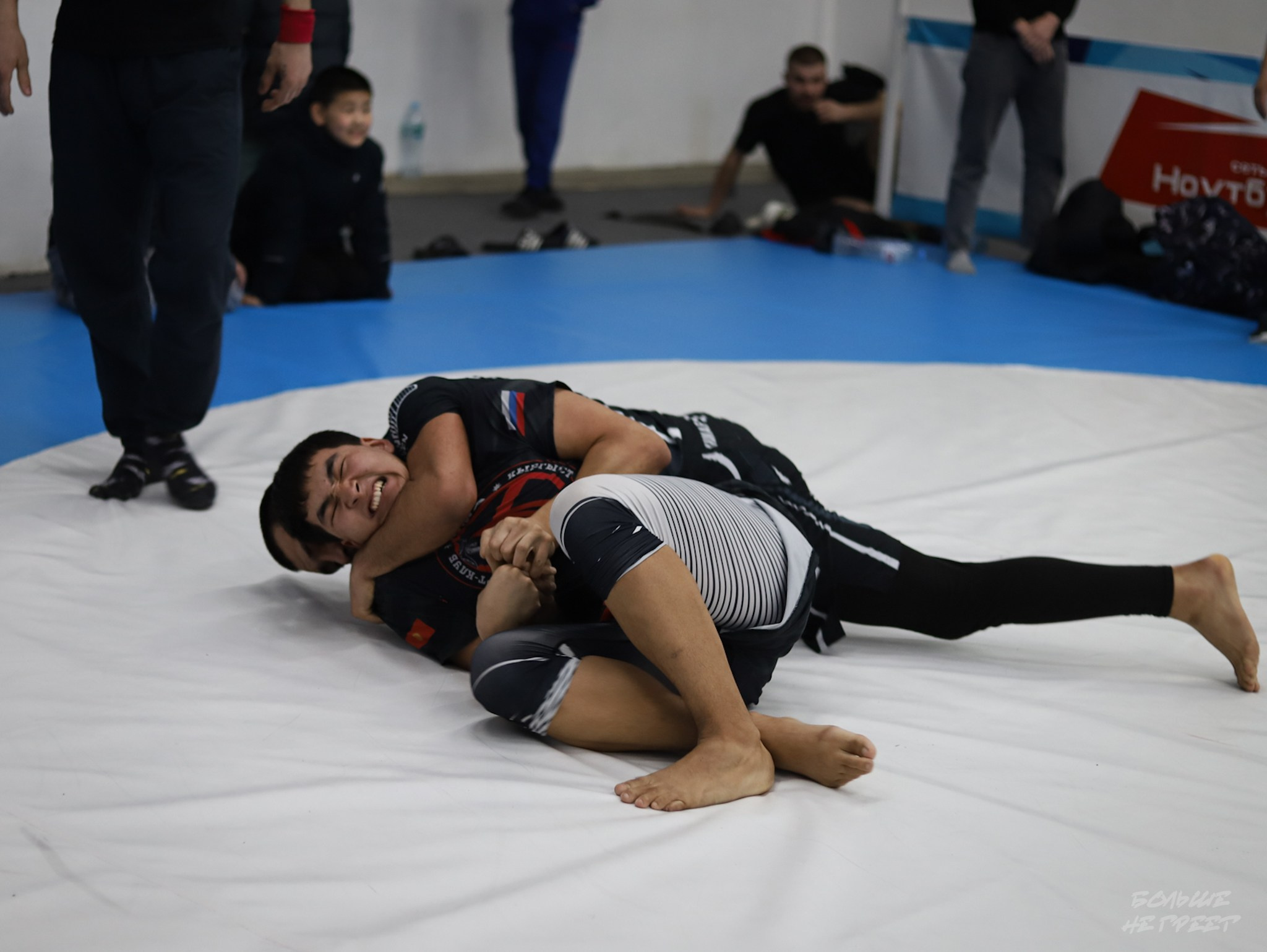 GORILLA PRIDE CUP. Больше не греет