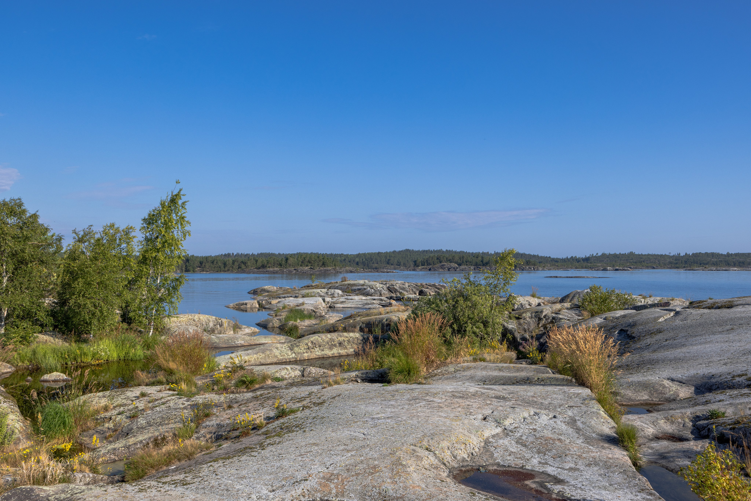 Ладога. Автомобильная фотография в Санкт-Петербурге