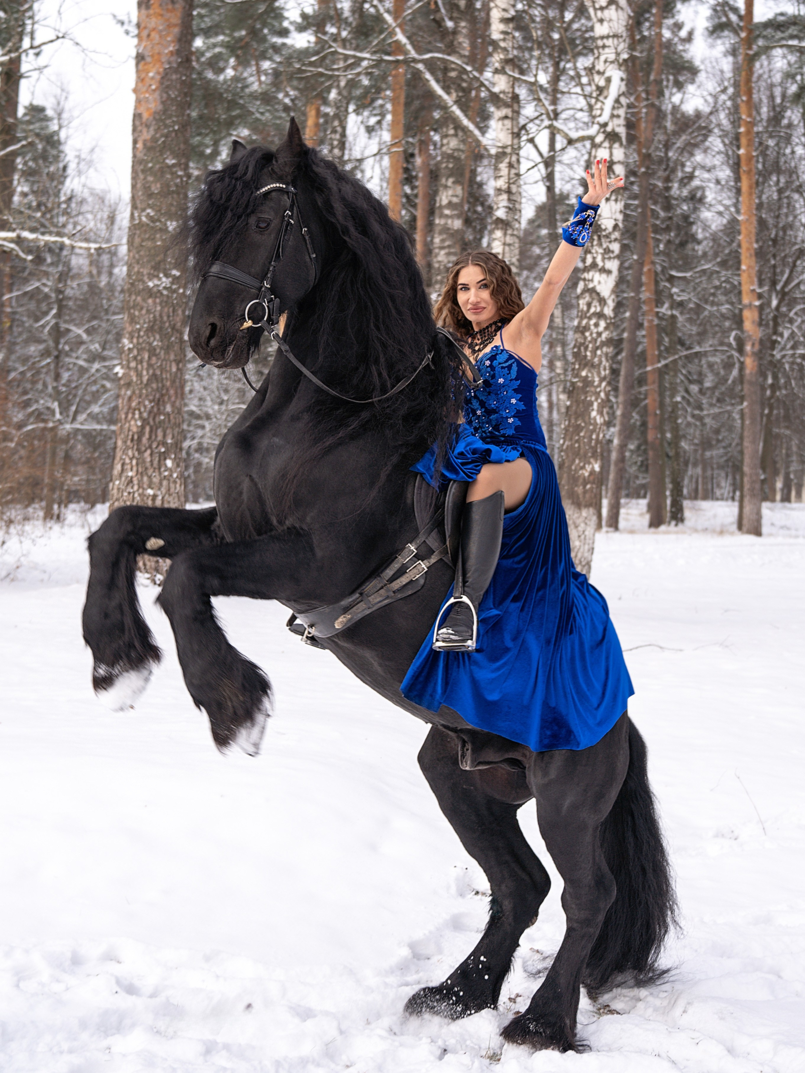 Лошадки зима. Фотограф Зинаида Евдокимова