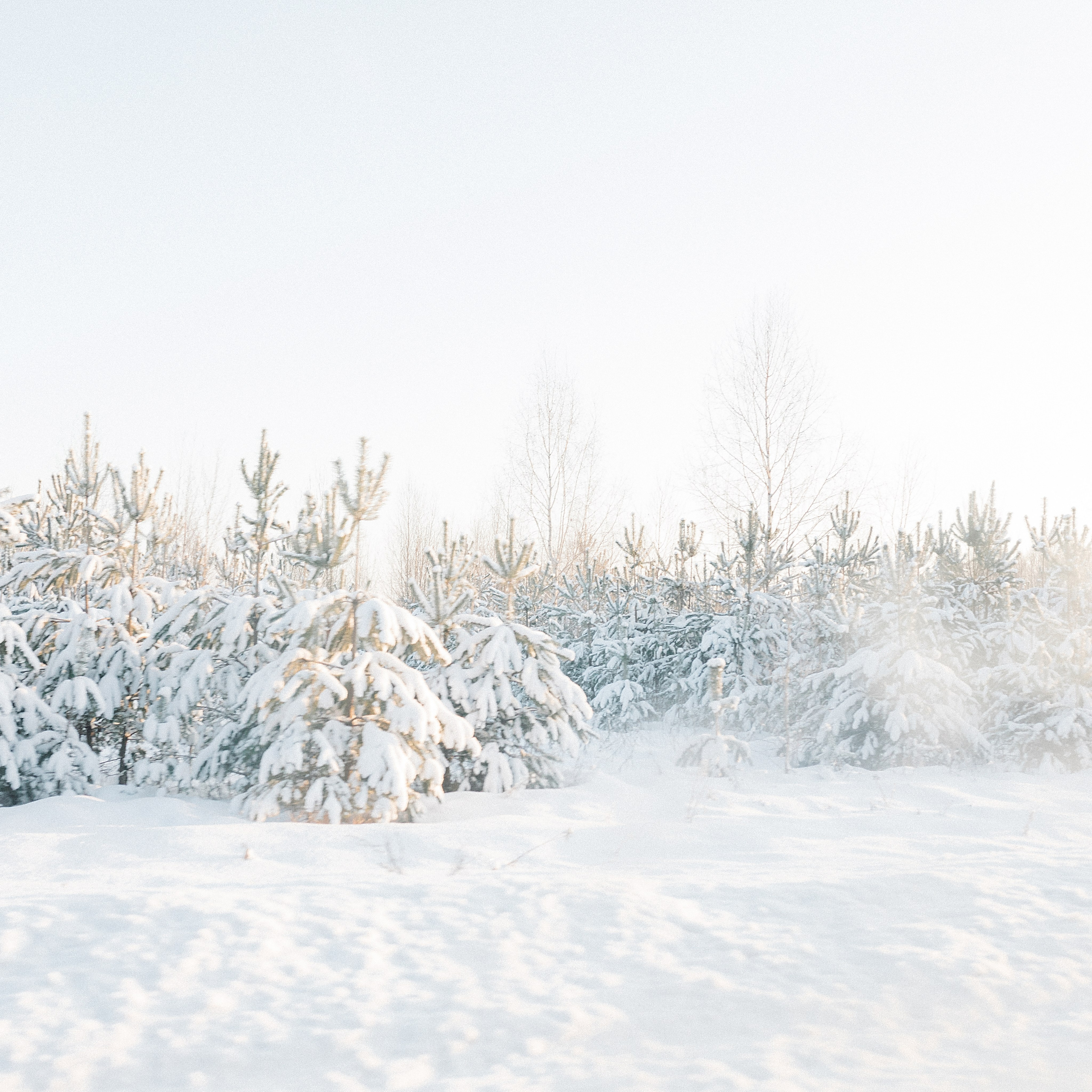 Life. Лена Крутова. Фотограф в Москве