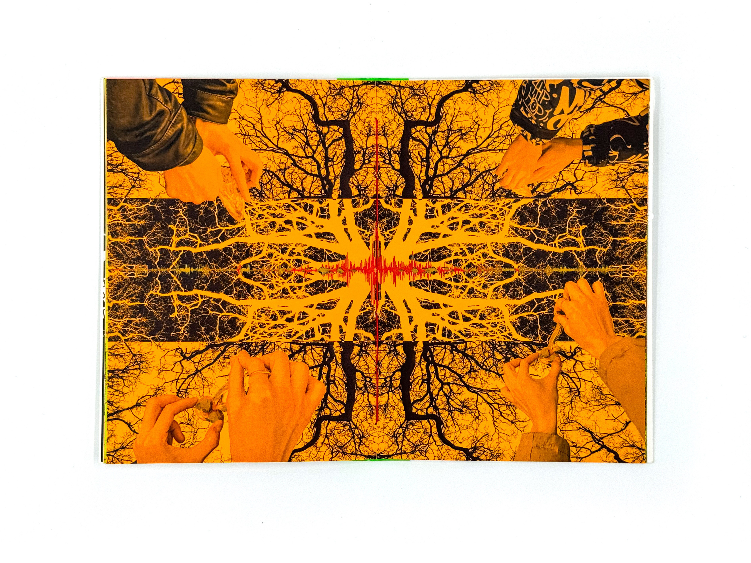 Экспедиция № 7. Лера Круглова