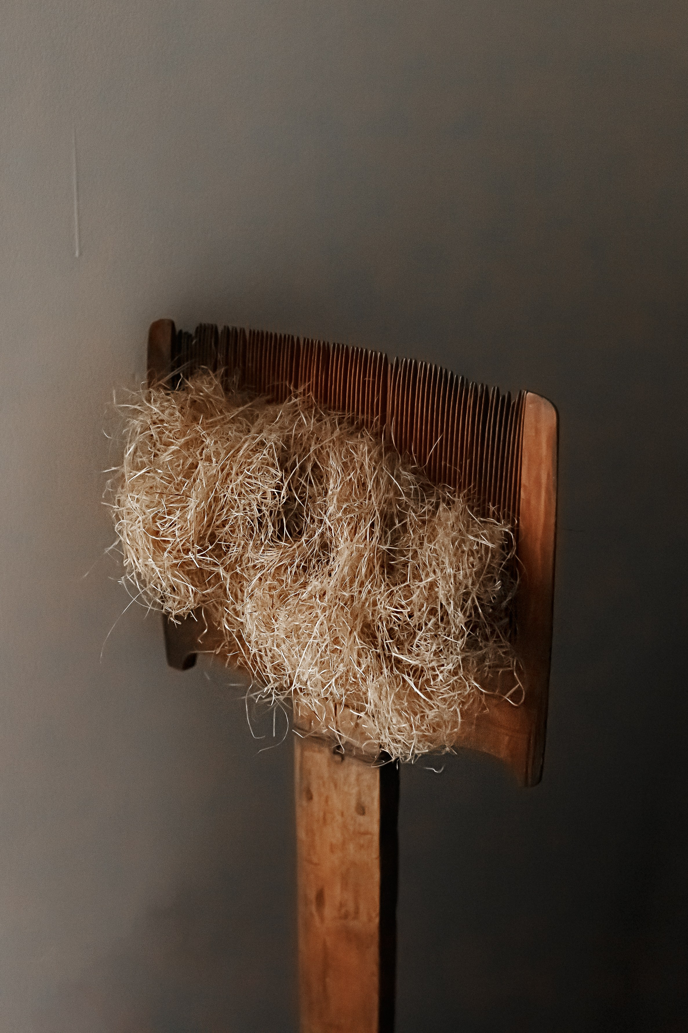 Тарханы. Съемка Таинств Крещения Венчания, детские и семейные съемки в Пензе