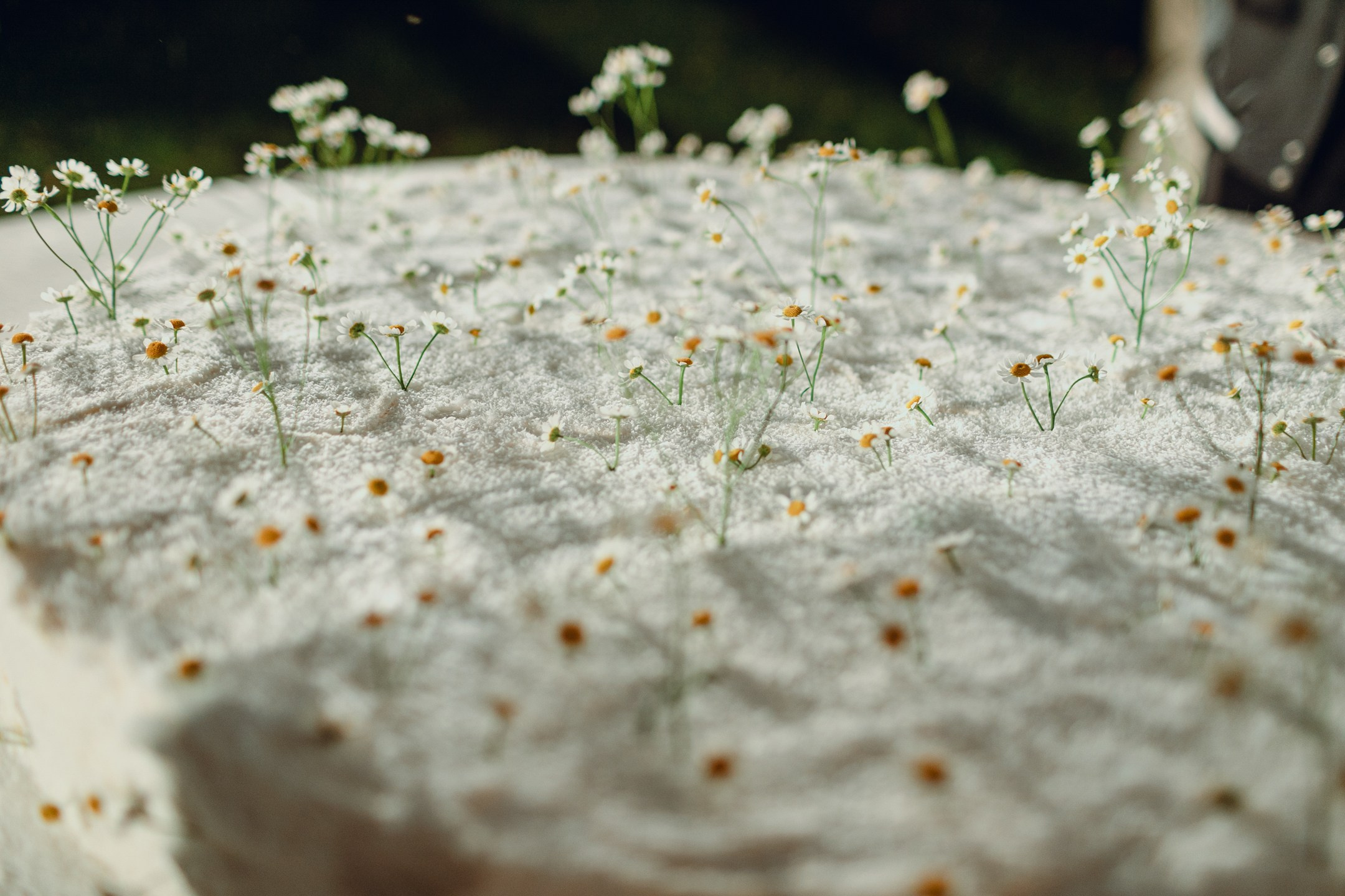 2025.09.19 Свадьба Алина Вадим. Фотограф Евгений Хмельницкий