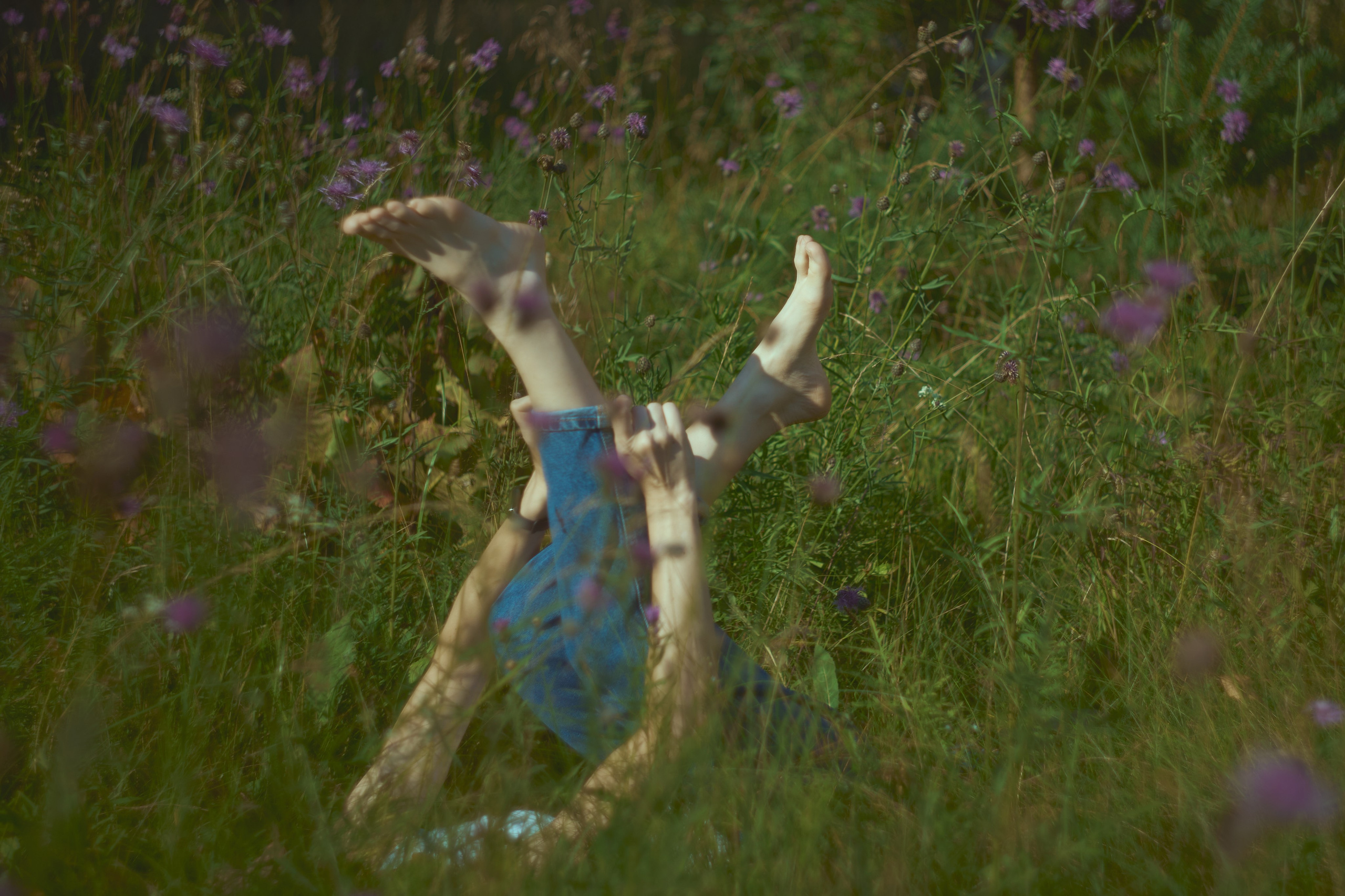 Summer field. Юля Ф