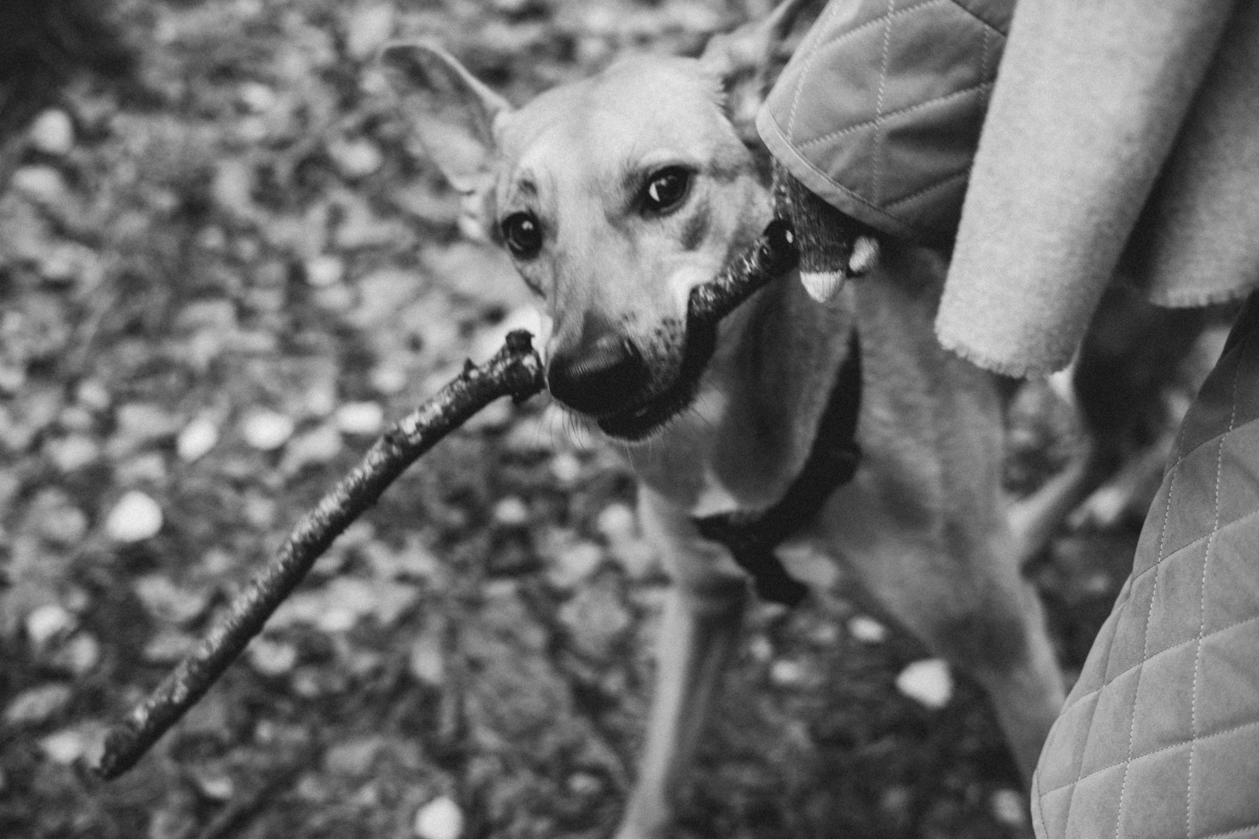 Нелли, Лёша, Рэй и Норд. Фотограф Анна Луценко Москва