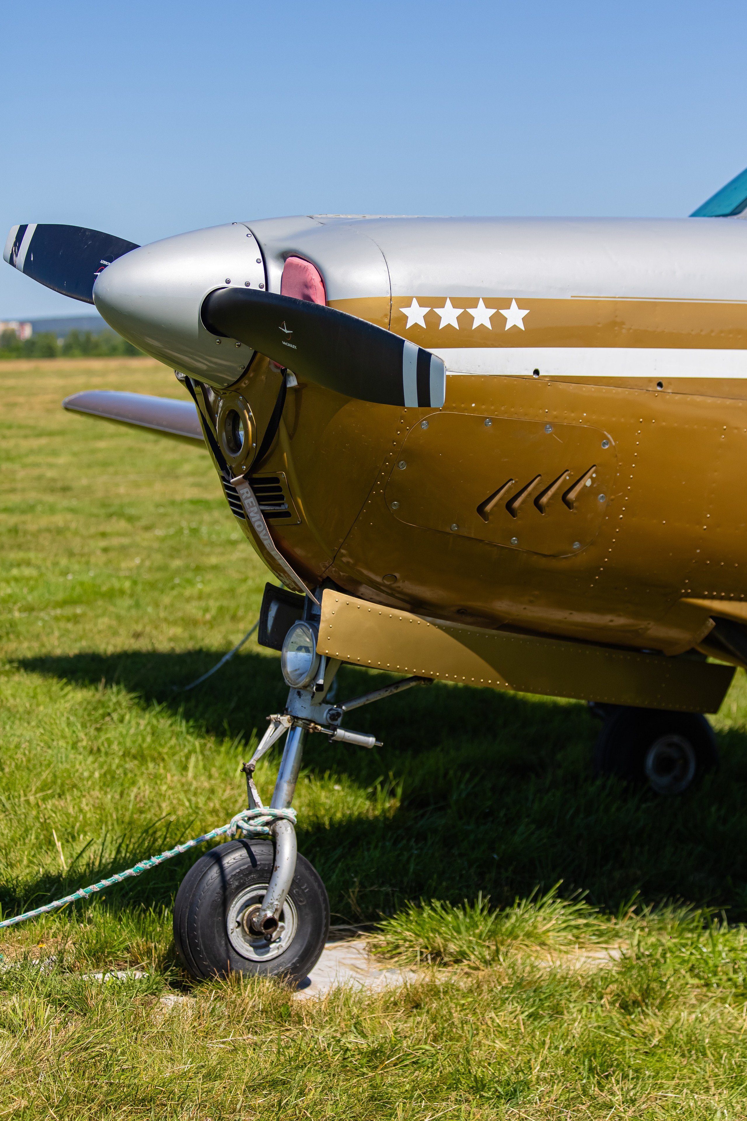 Крылья Пармы 2025 г. KATERINA VINOKUROVA ФОТОГРАФ ПЕРМЬ