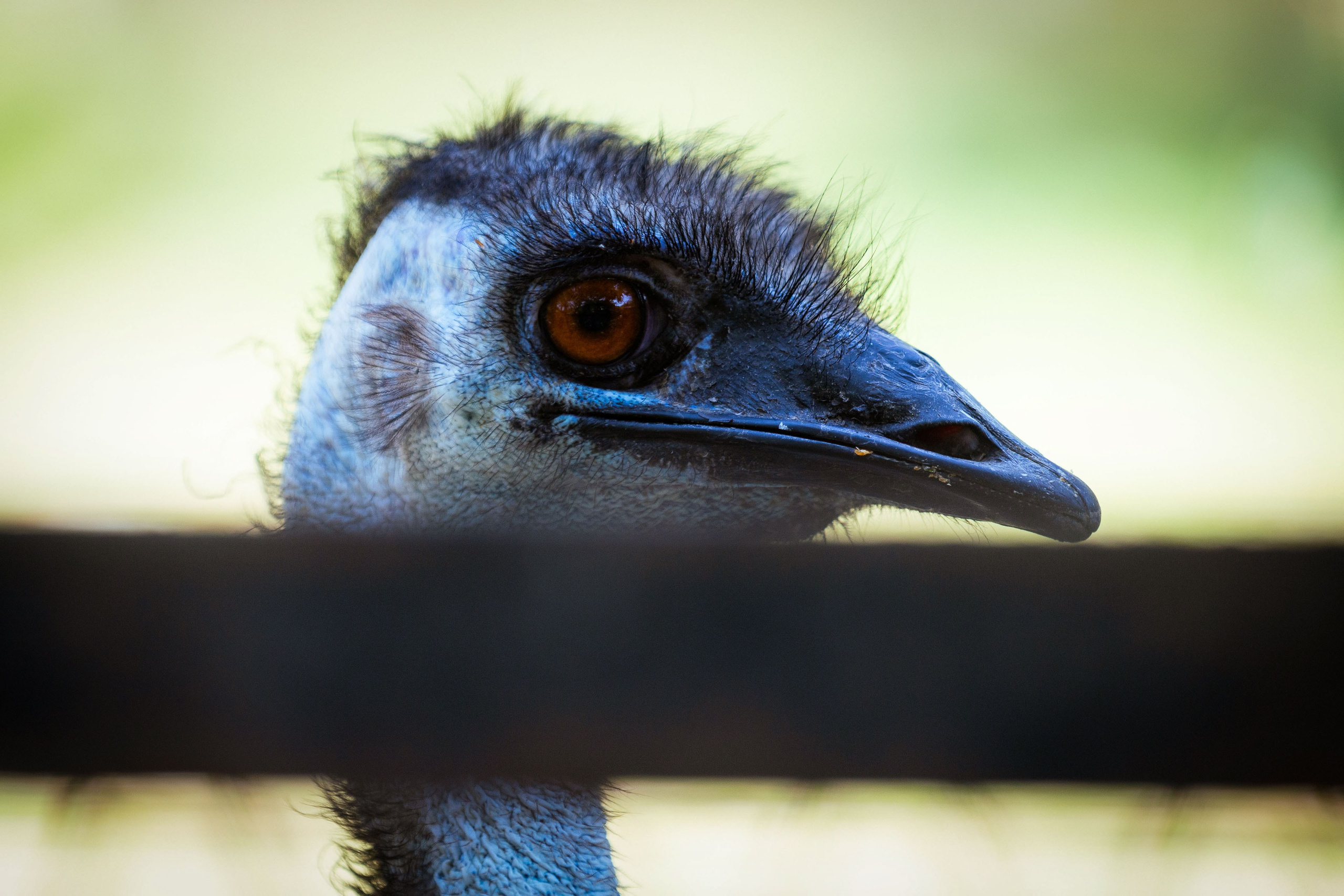 Таиланд (зима 2025). Фотограф Виноградов Константин