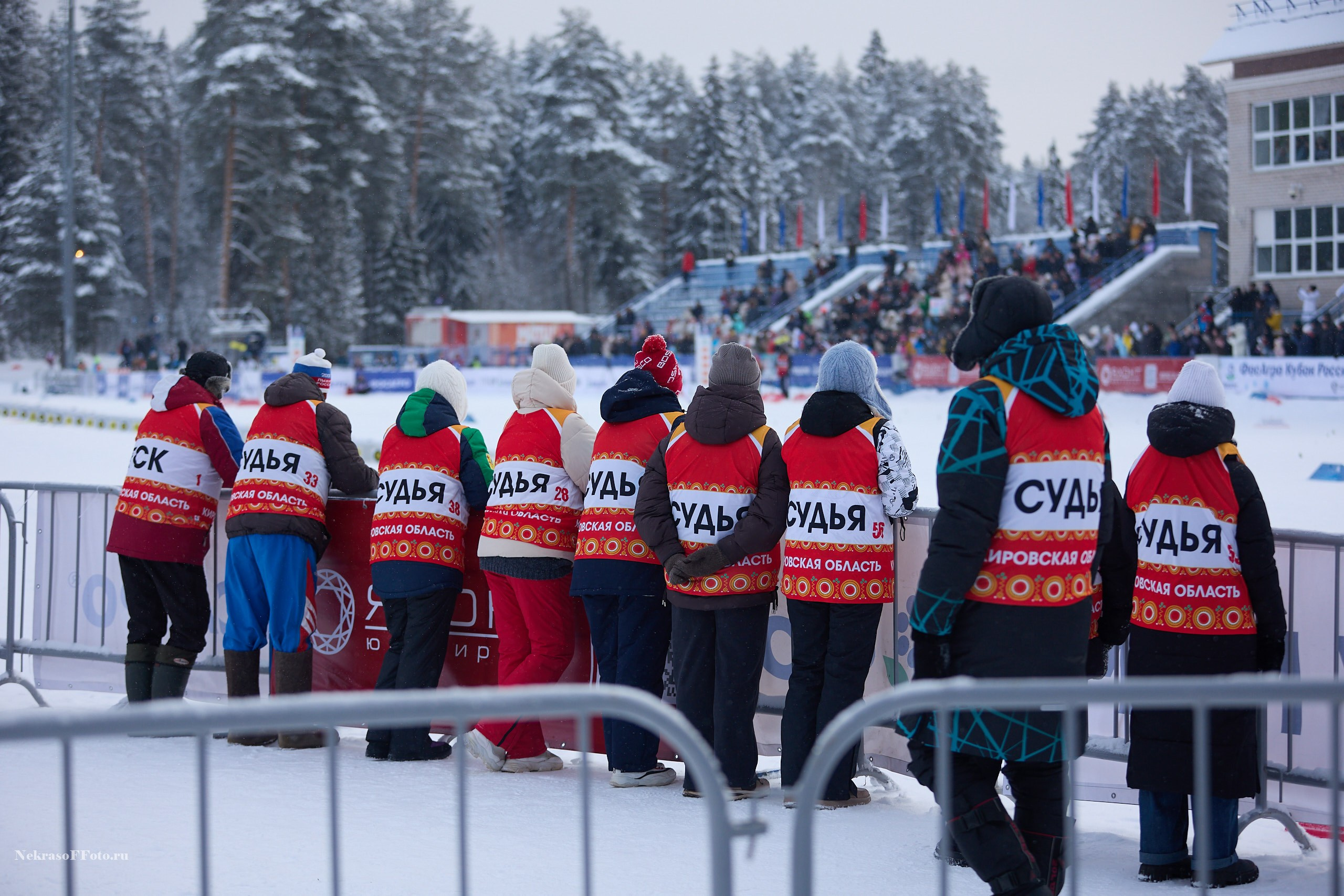 Кубок России по Лыжным гонкам. Спортивный фотограф Некрасов Денис