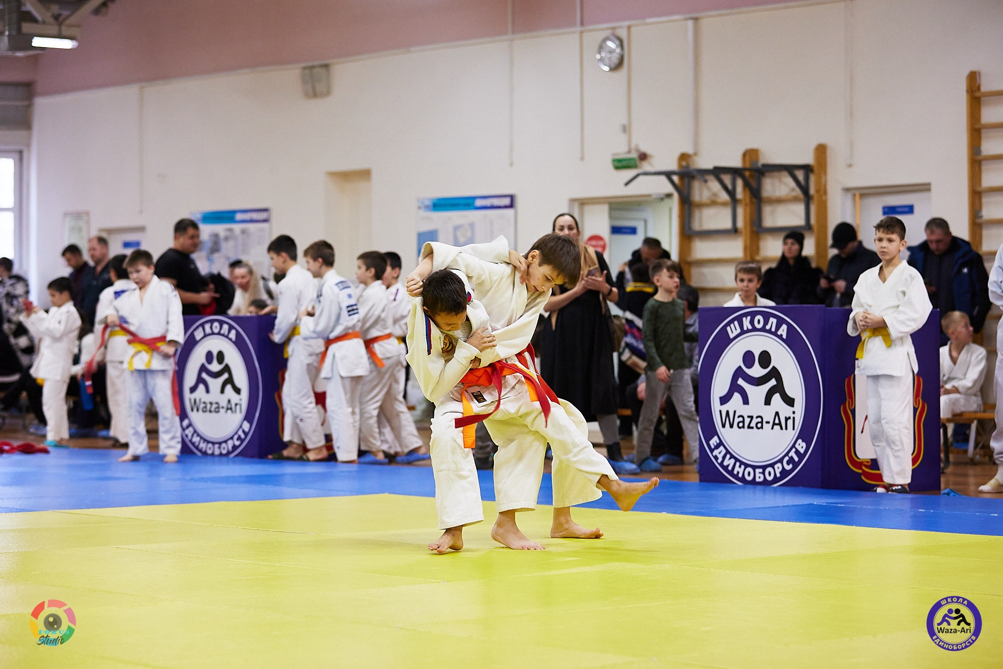 Репортаж Турнир по дзюдо. Спортивный фотограф Некрасов Денис