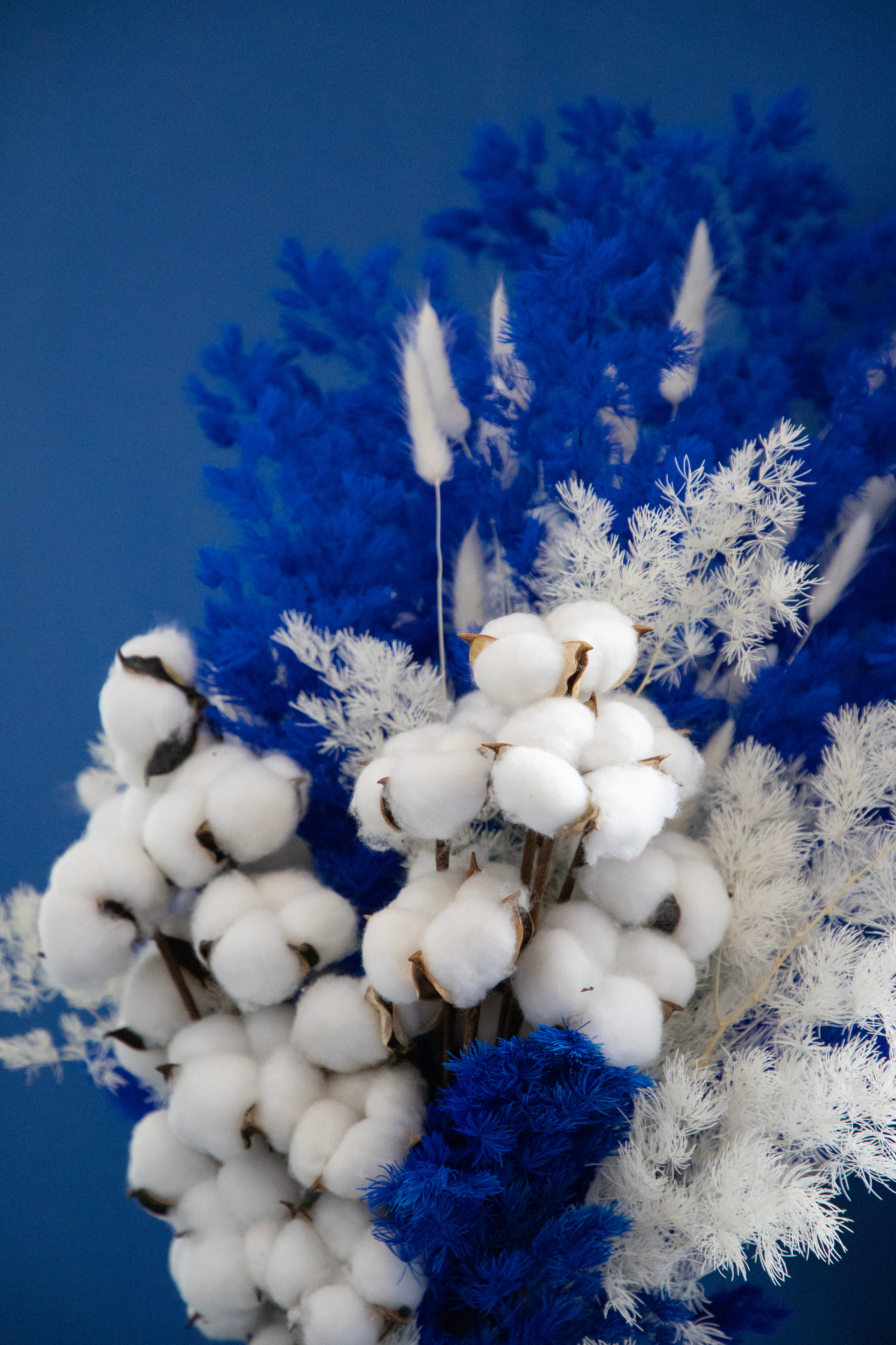 Ernestovich. April 2023. Фотограф Анастасия Сонина