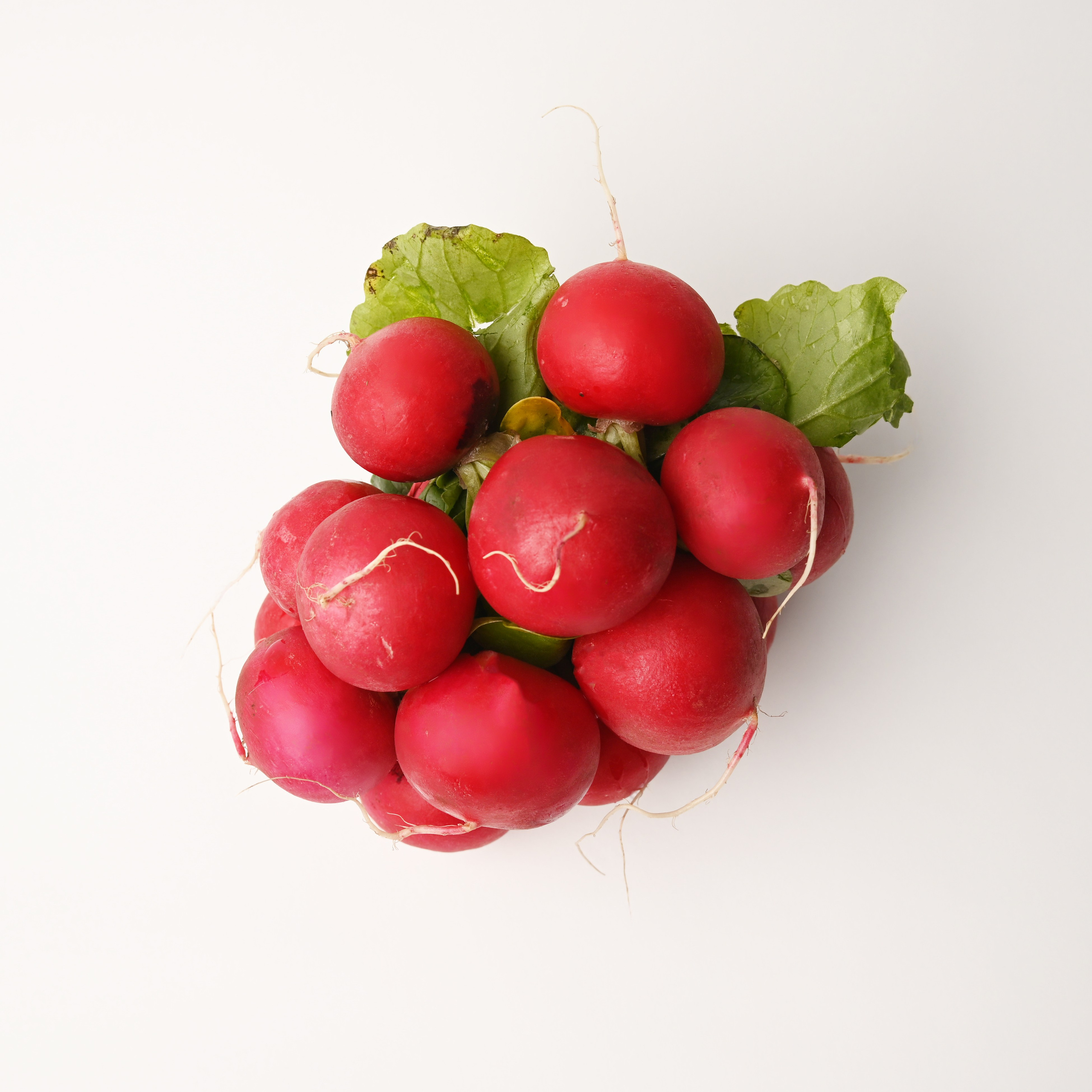 Реклама. De_ross photo. Москва. Санкт-Петербург. Россия