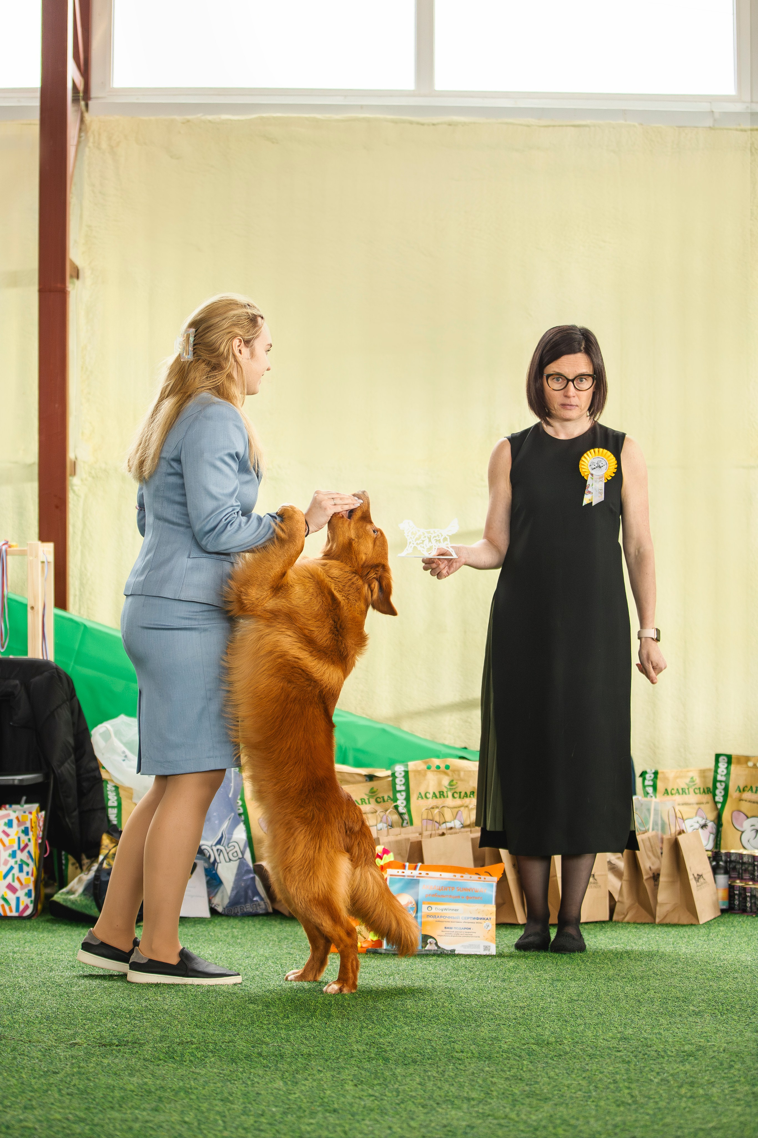 Толлер Орландо (Выставка). Фотограф анималист в Москве Майорова Евгения