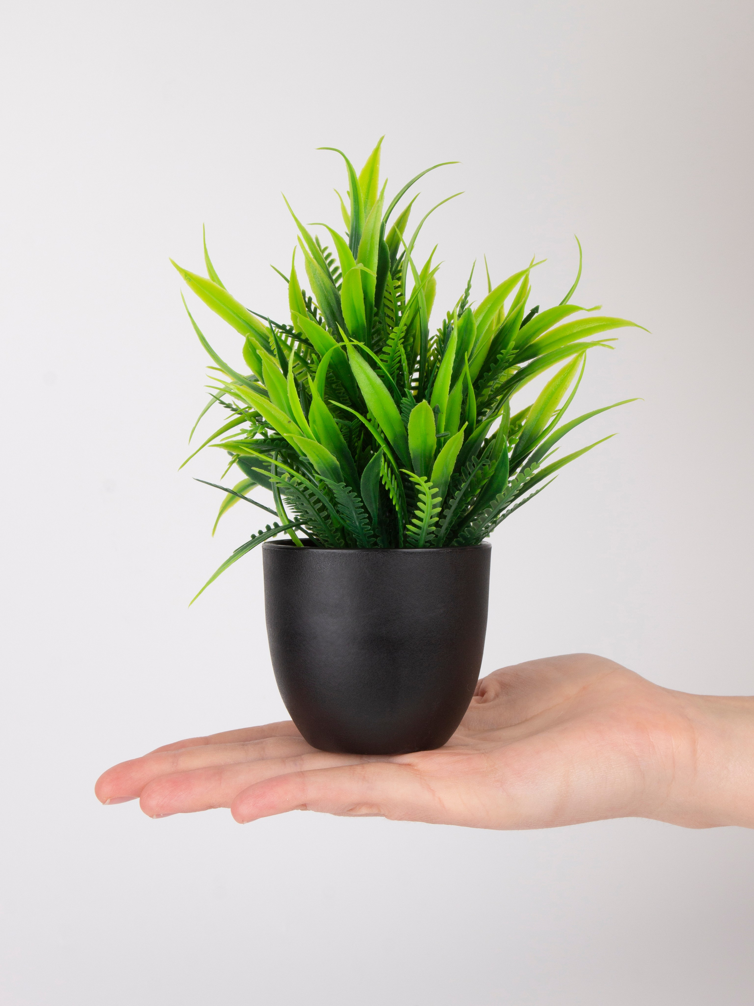 Декор для дома. Фотограф Злата Спицына