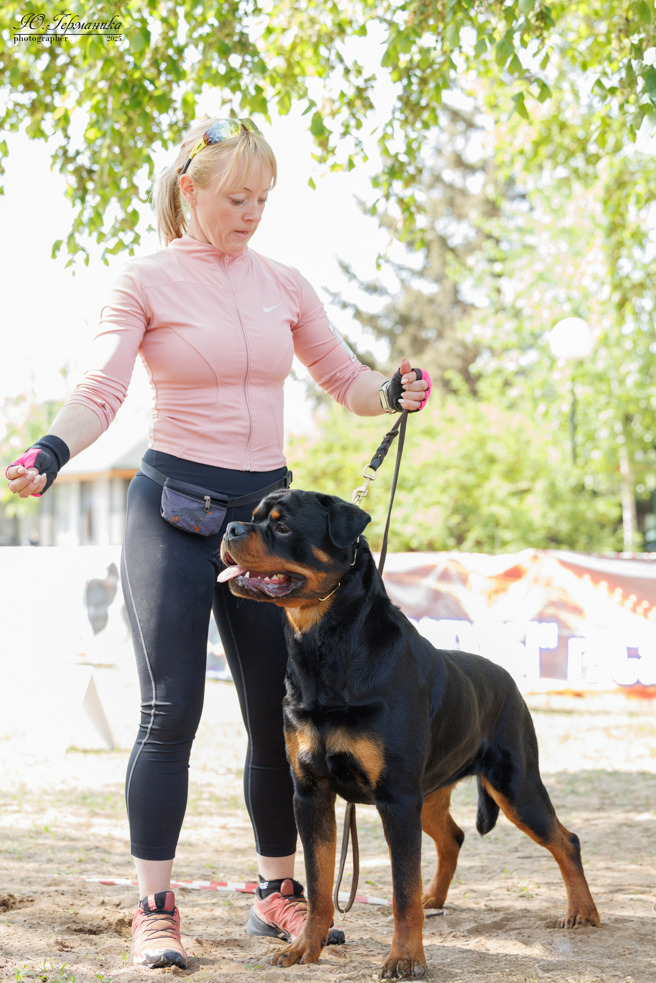 Саратов моно ротвейлеров 26-27.04.2025. Фотограф-анималист Юлия Германика