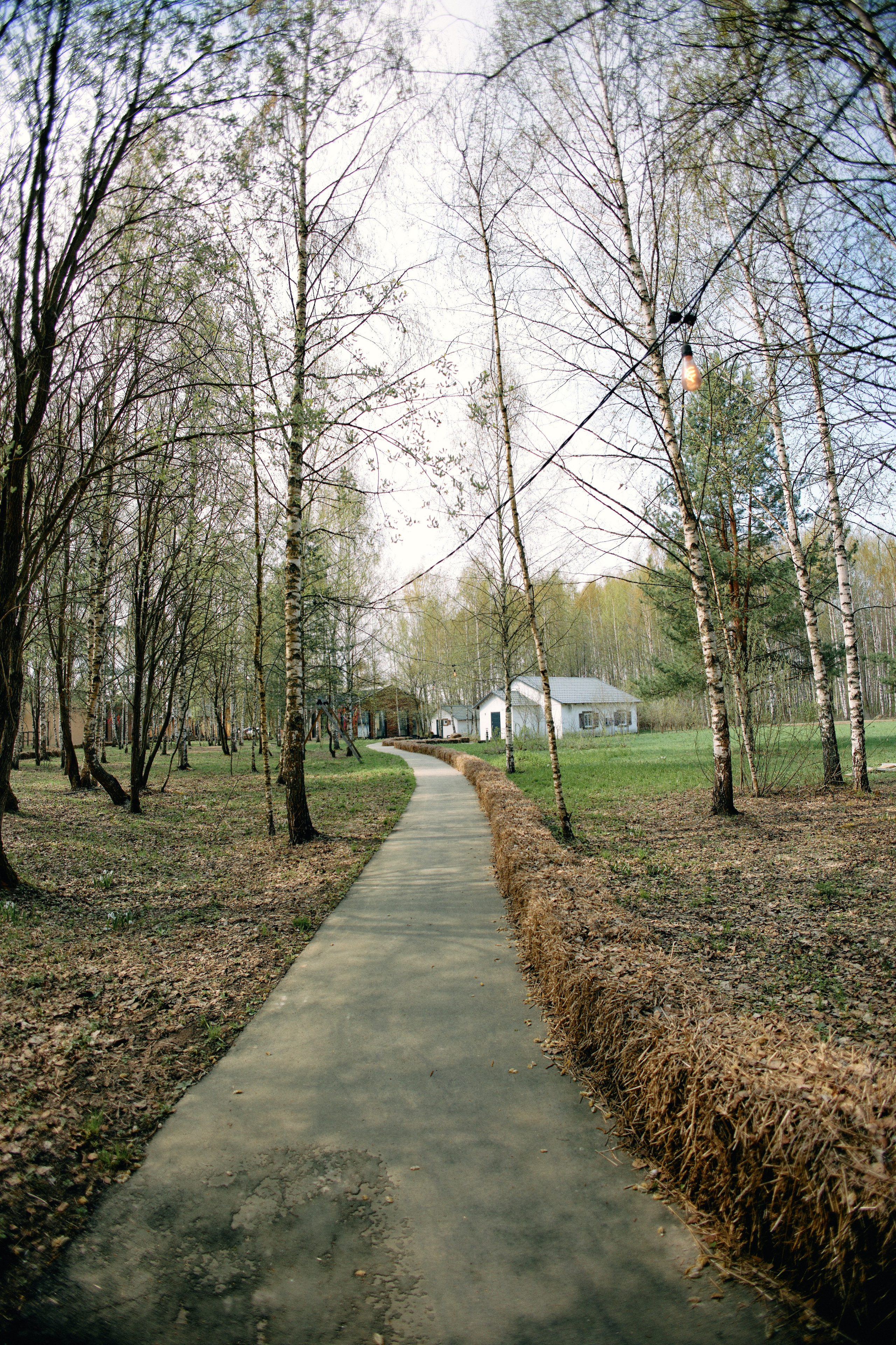 Бутик-отель Поле летом. Профессиональный Фотограф во Владимире, в Москве и в Суздале — Полина Романычева