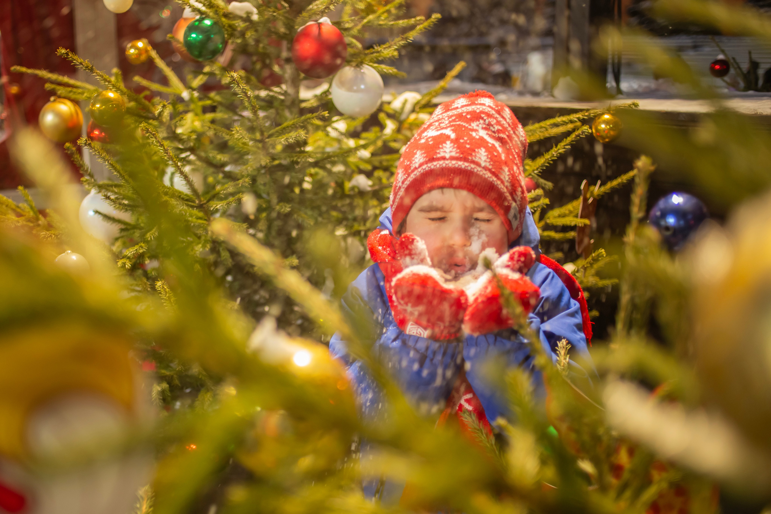 Фотопрогулка. Семейный и детский фотограф в Москве и МО — Александра