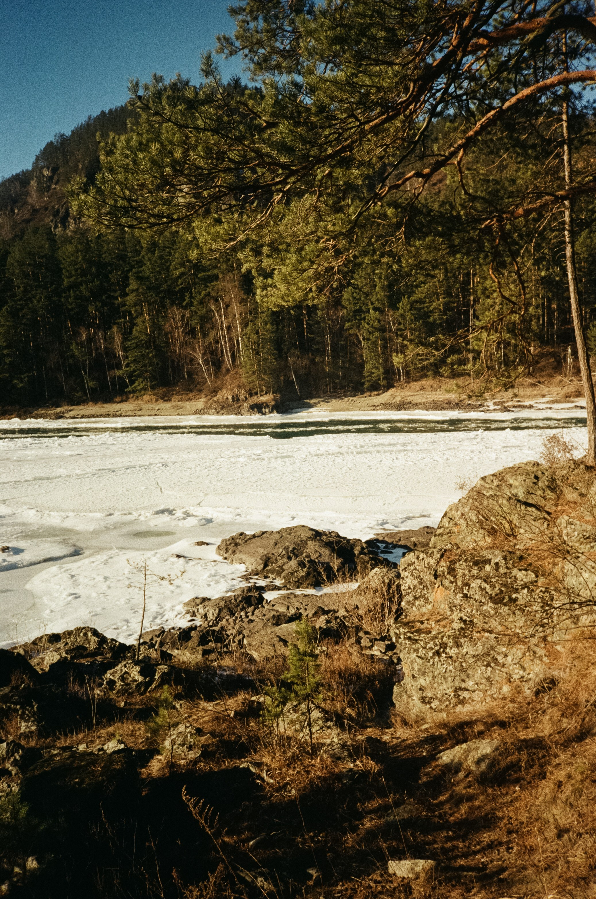 Панорама Катуни, торосы и виды с качелей на горе. Фотограф-документалист Мария Осокина