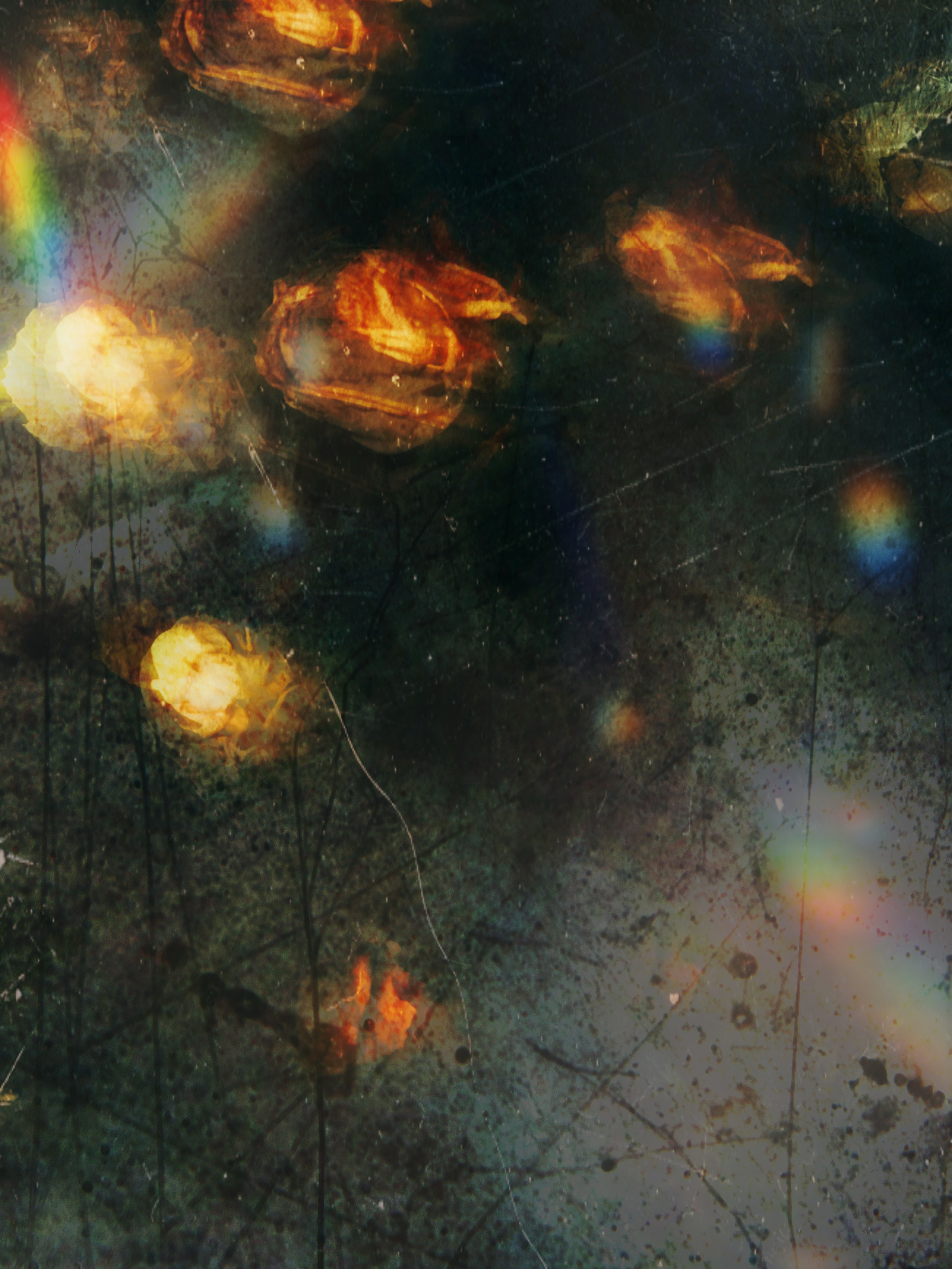  золотые цветы абстракция на черном фоне