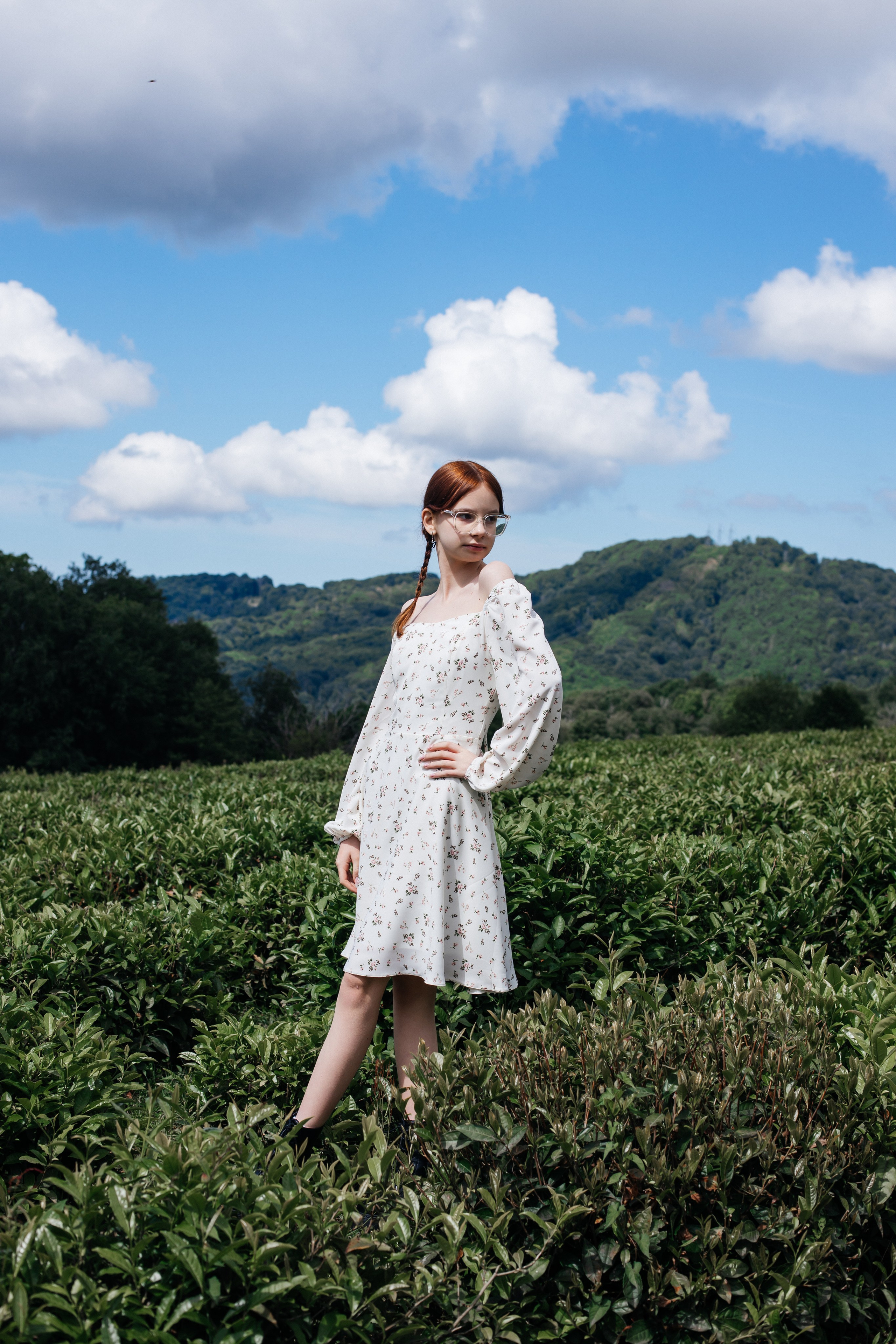 Tea plantation. Efimova Model Agency