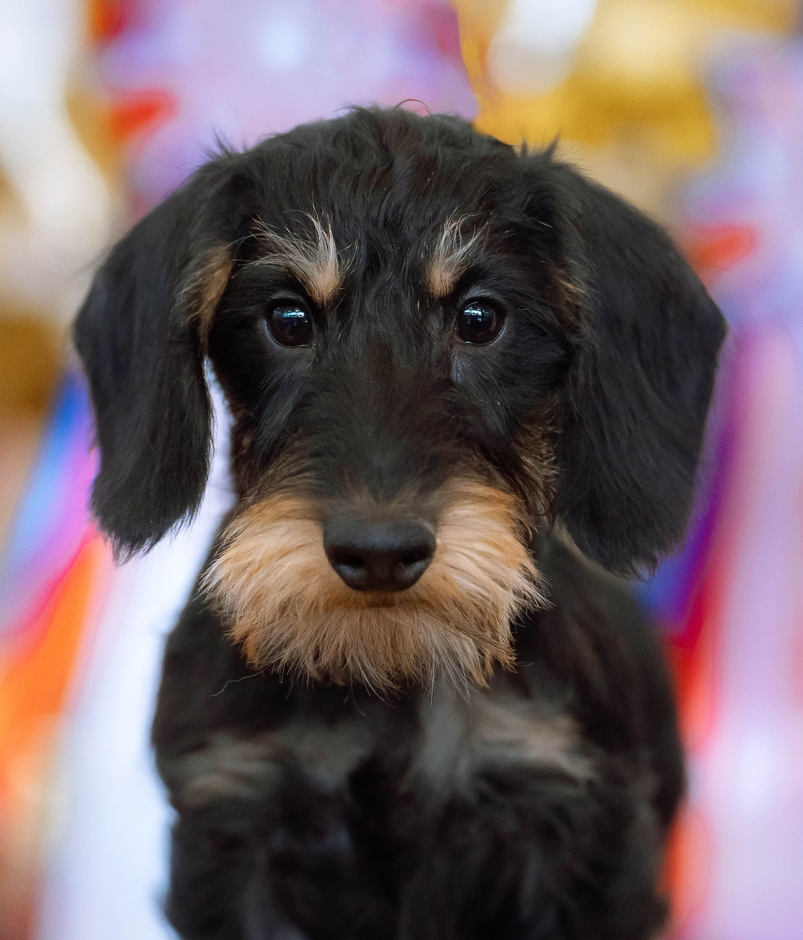 Съемка на выставке