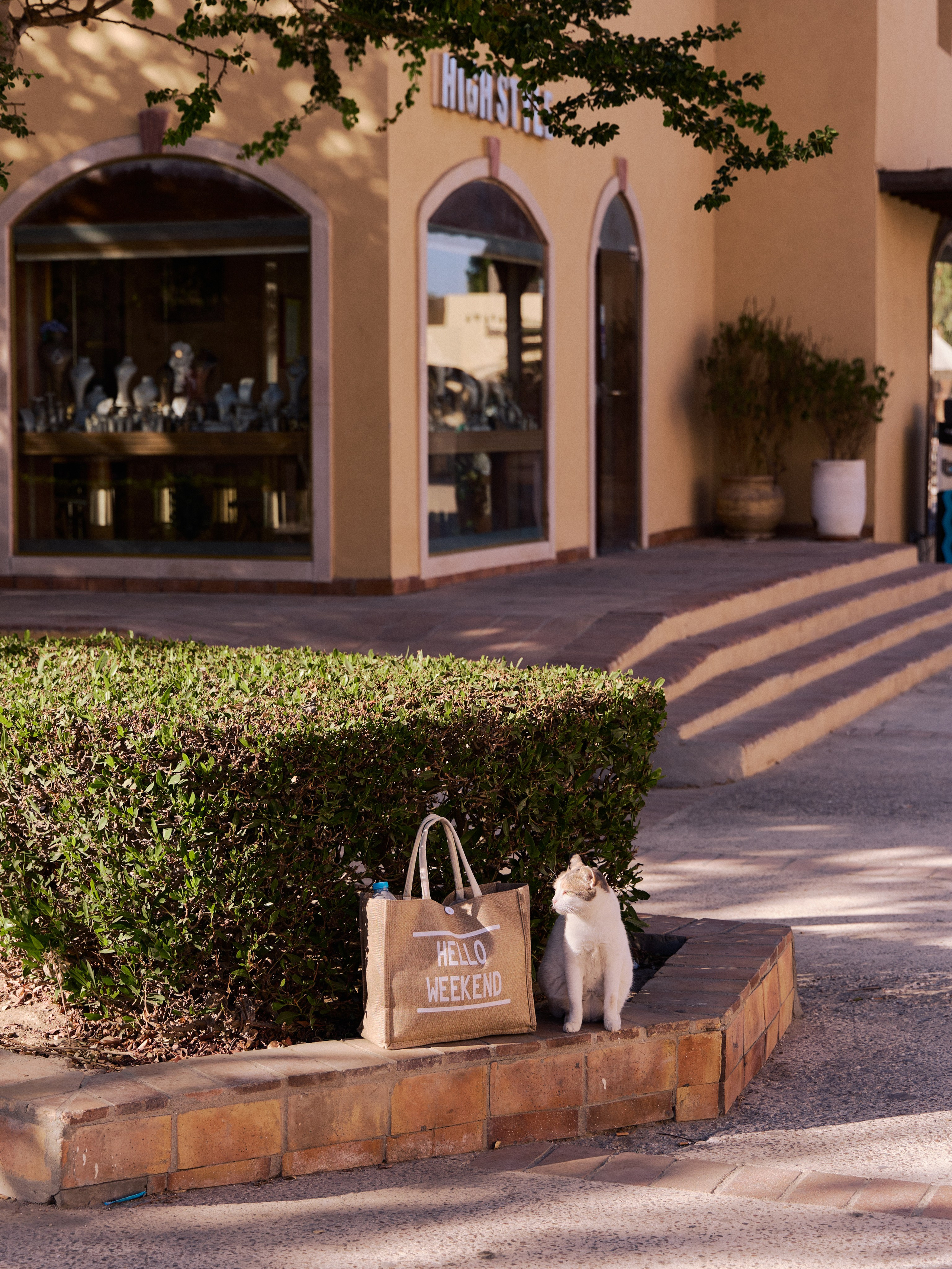 Другое 3. Jorgis — фотограф в Хургаде / обучение фотографии