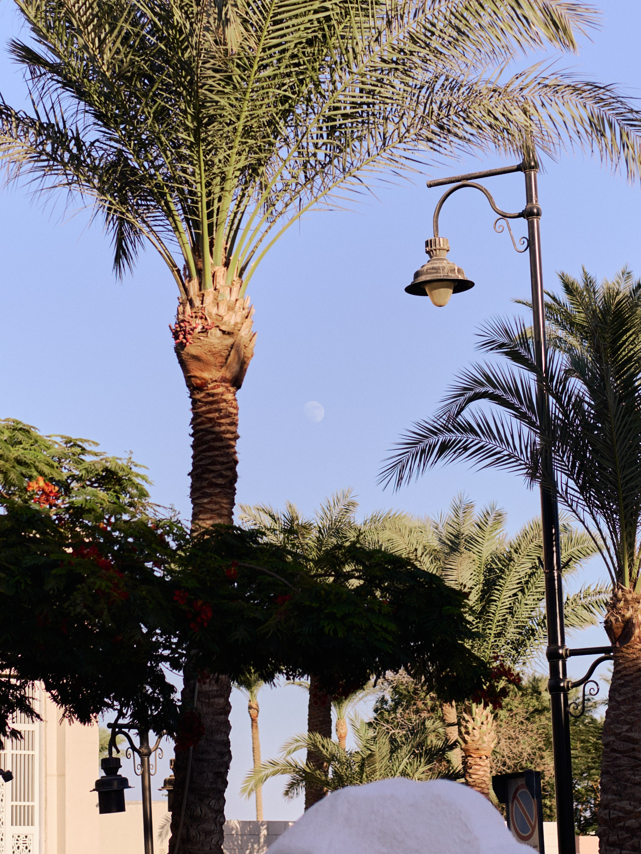 Другое 3. Jorgis Talè — photographer, kind person, teacher of arts and other mag