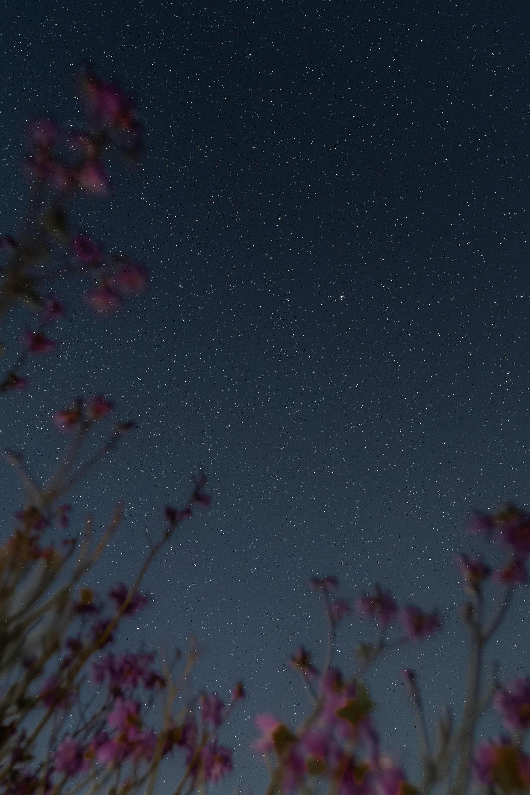 Астройпейзаж. Профессиональный фотограф в Хабаровске Артём Паймуллин