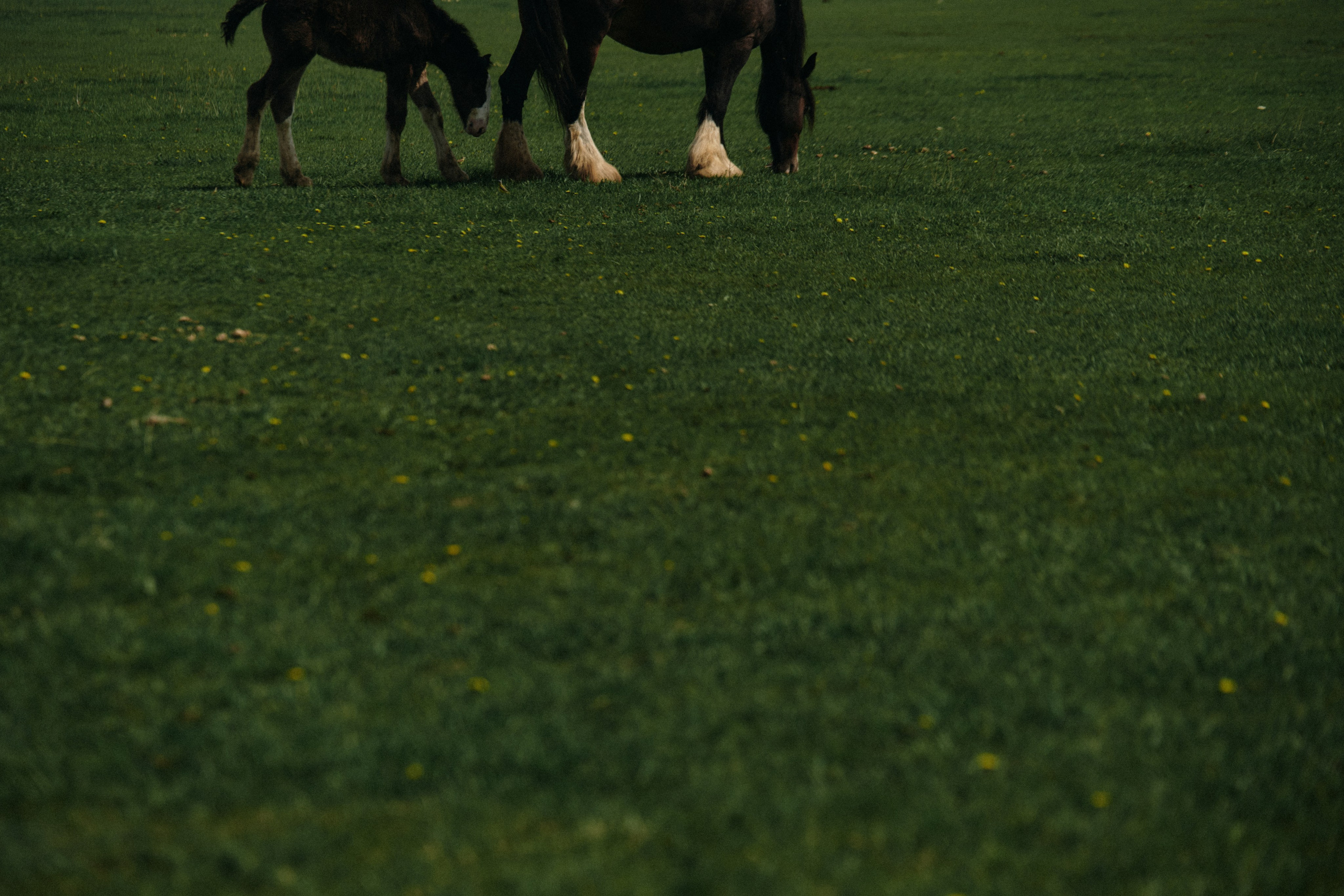 BAON x Кудыкина Гора. Фотограф Сурков Никита