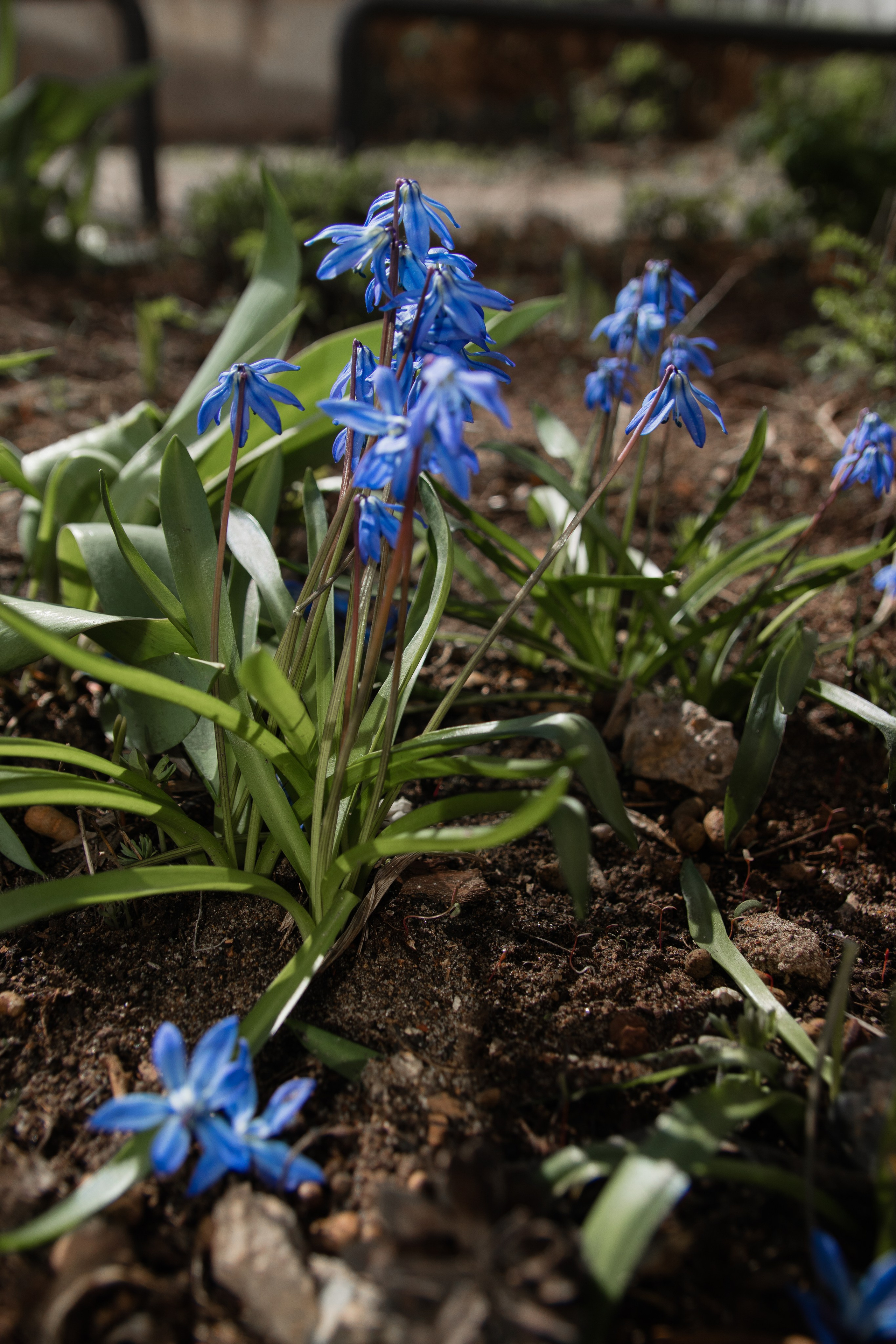 Моменты. Главная