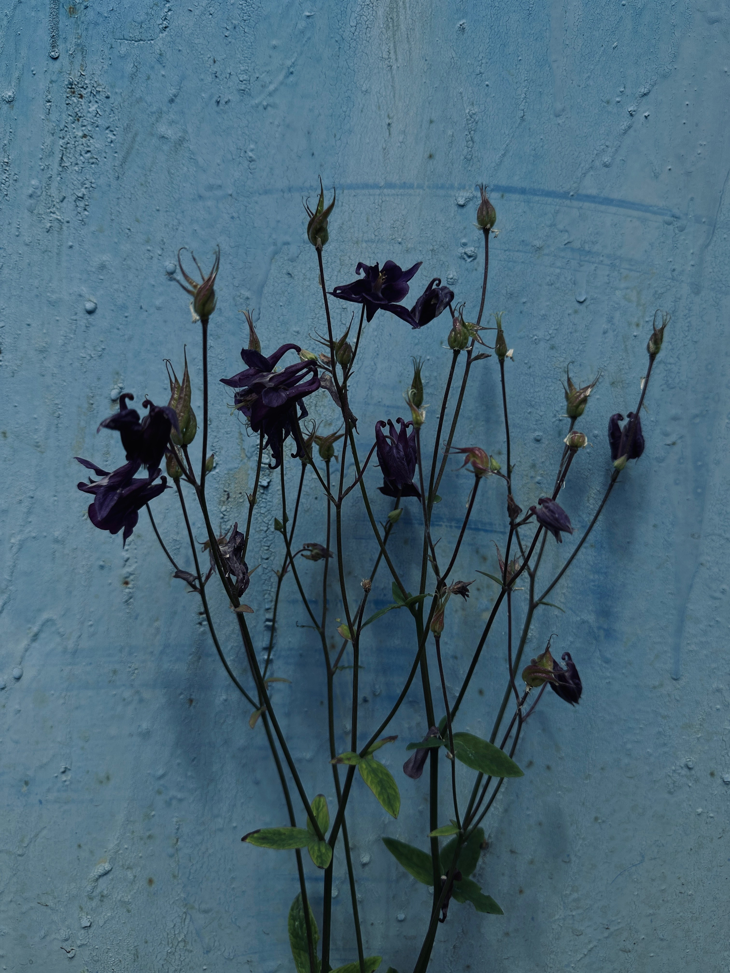 Флора и фауна. Смотри, красота!