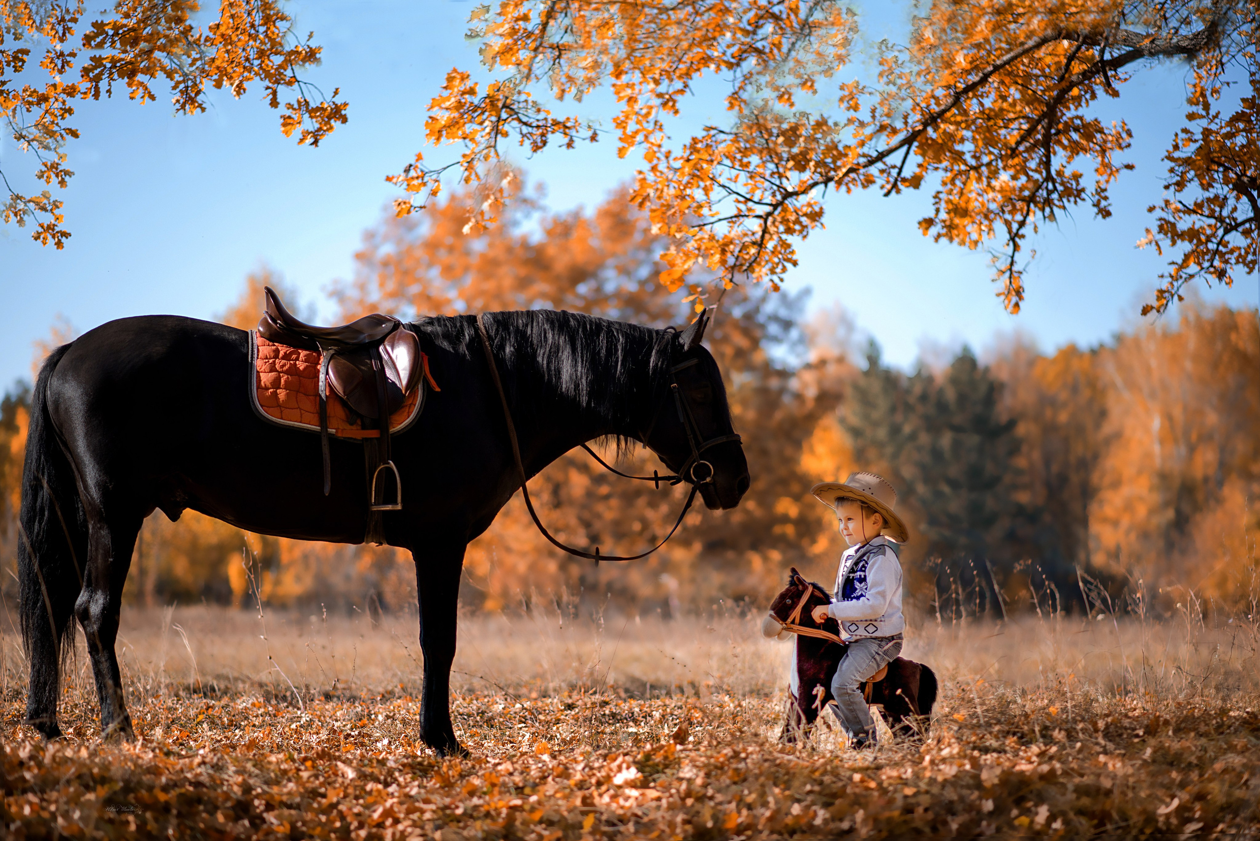 Семейная съемочка с Пиратом. Конный фотограф в Саратове Юлия Иванова