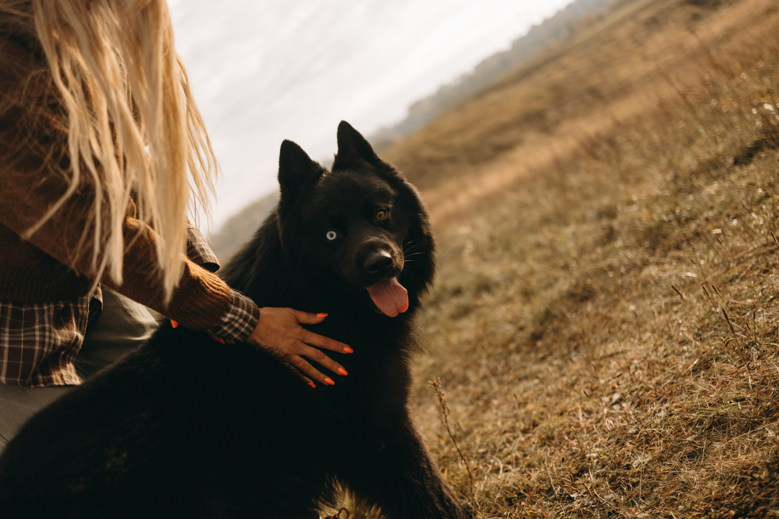 Лора и Джанго. Фотограф — Анималист | Санкт-Петербург