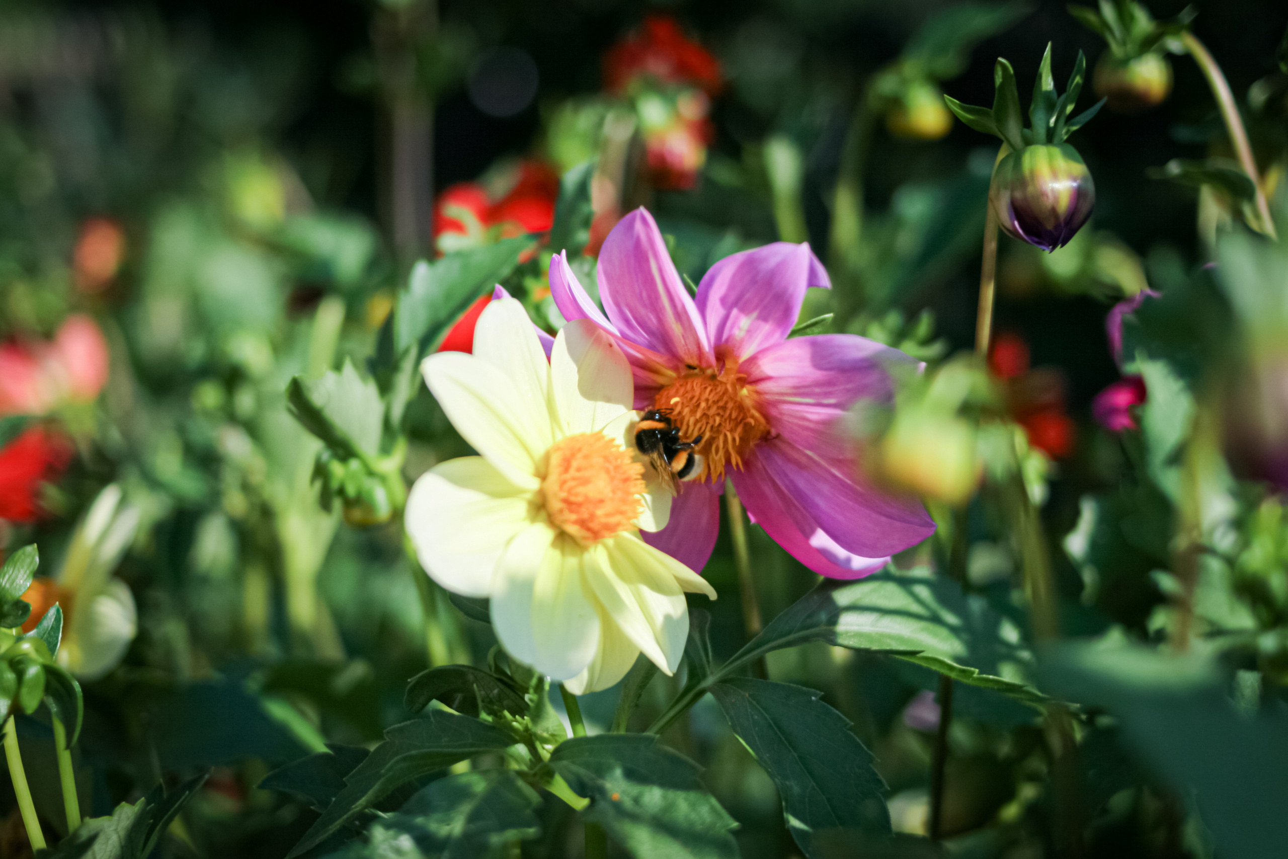 Тут нет людей. Главная