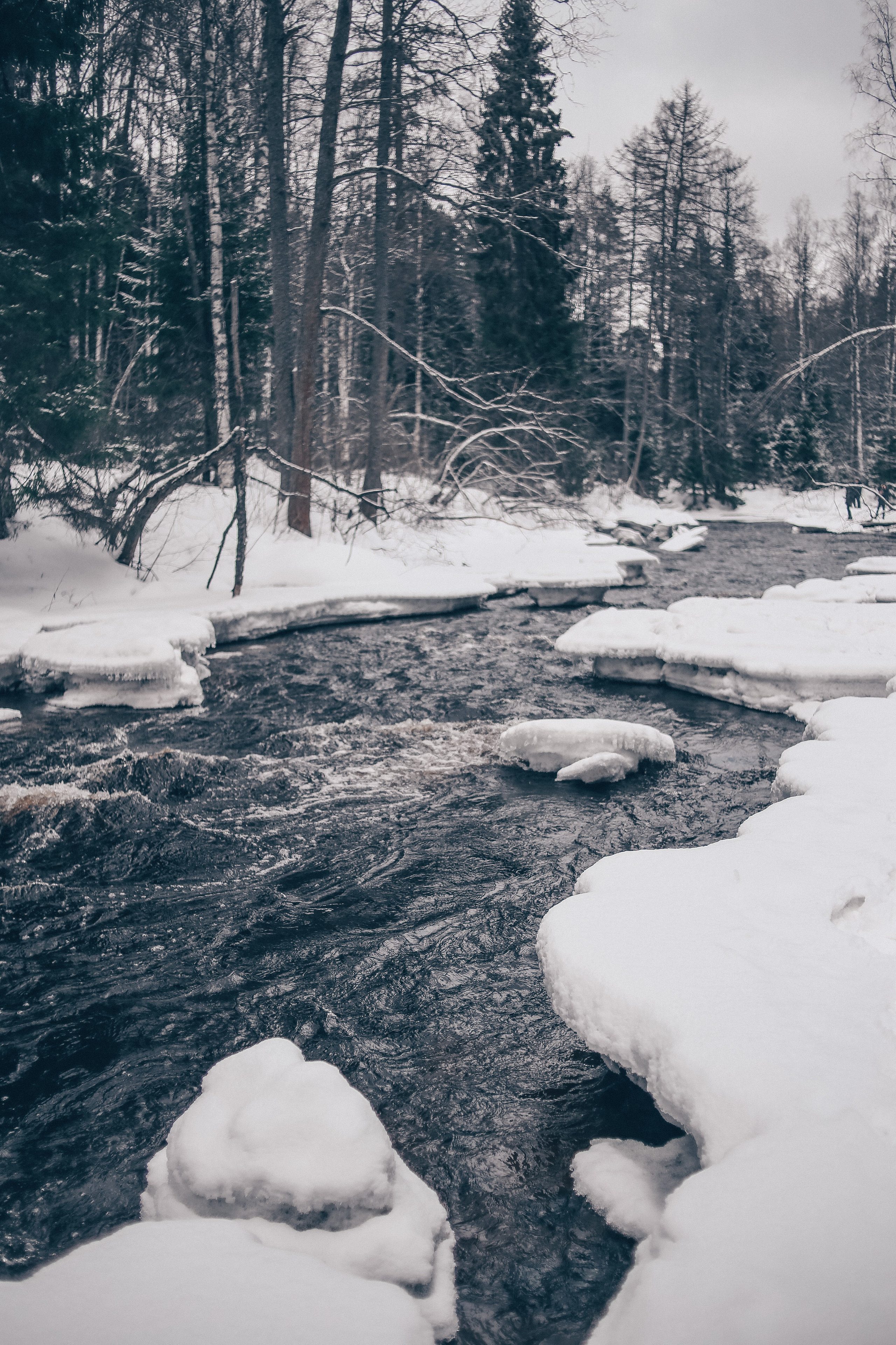 Зима. Главная