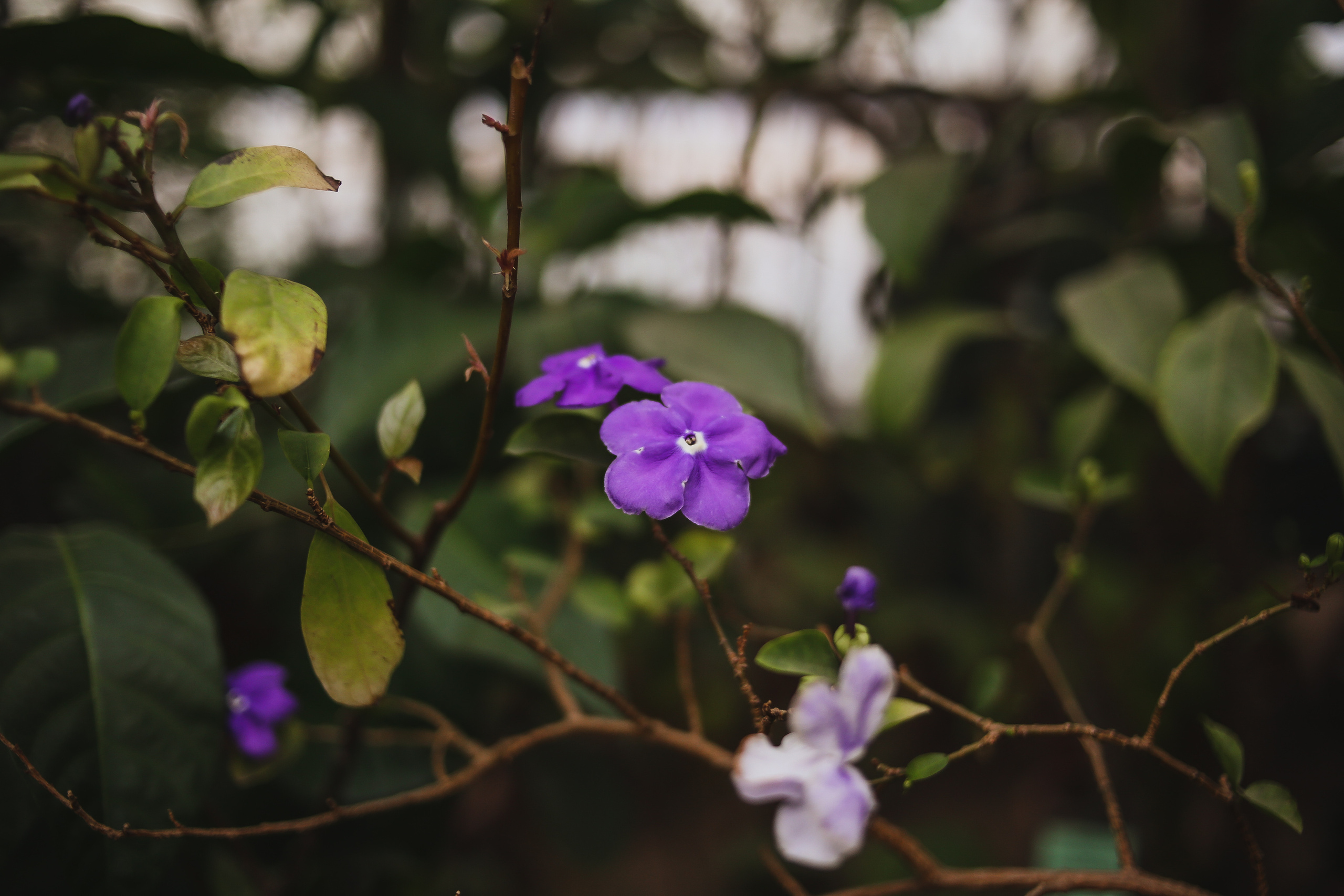 Тут нет людей. Главная