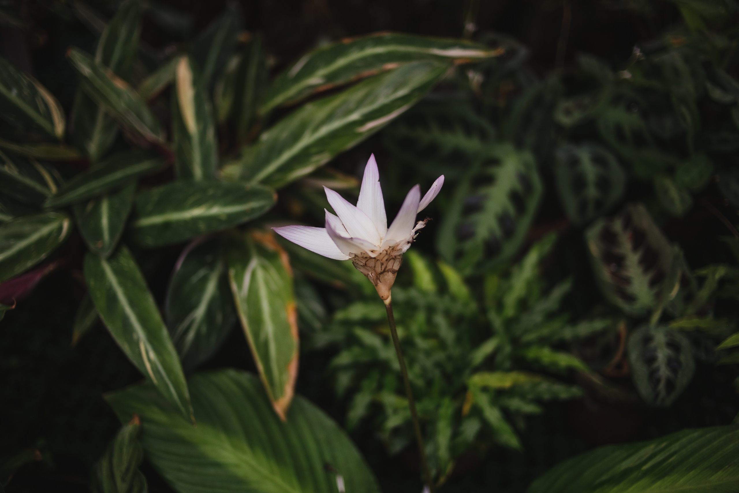 Тут нет людей. Главная