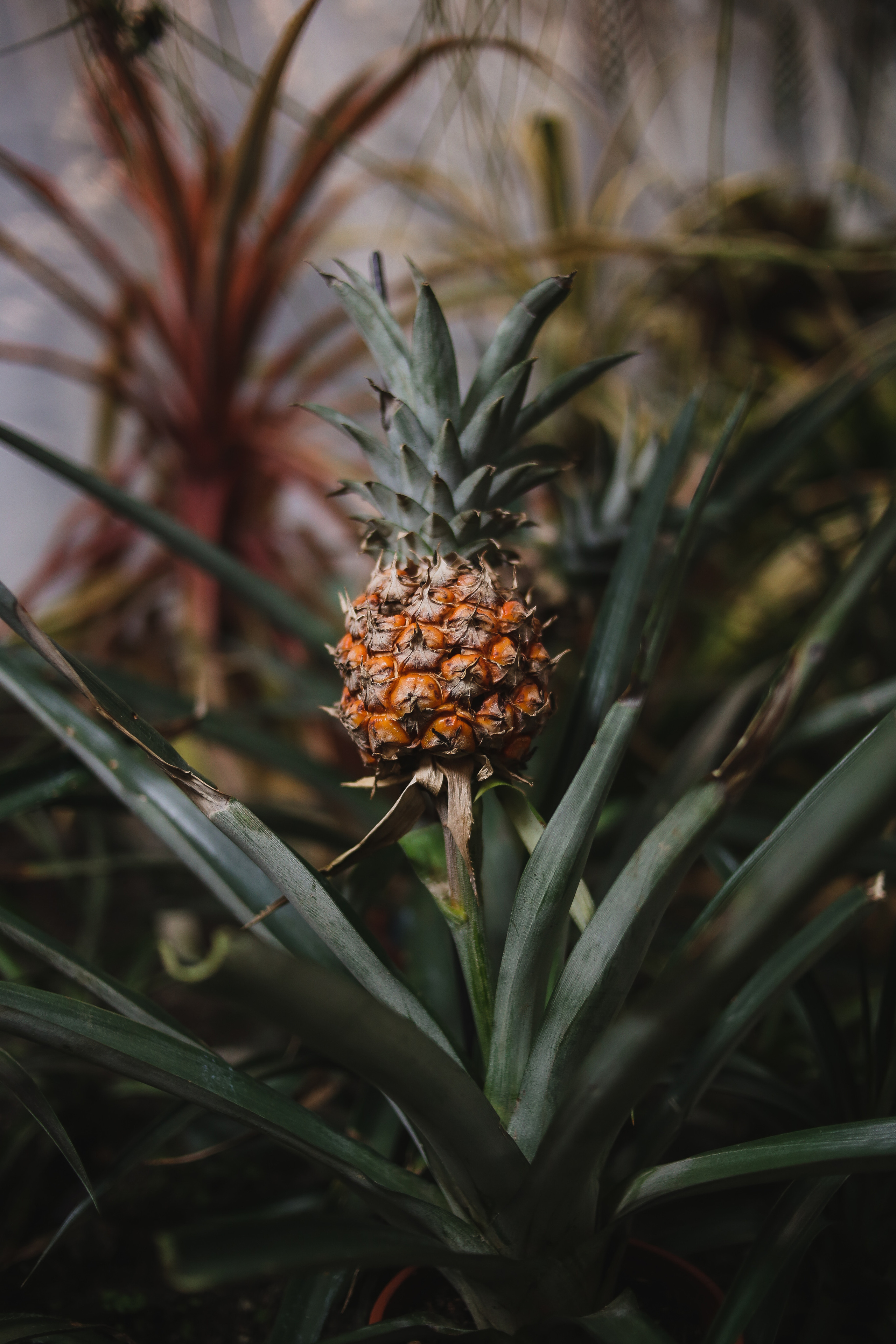 Тут нет людей. Главная