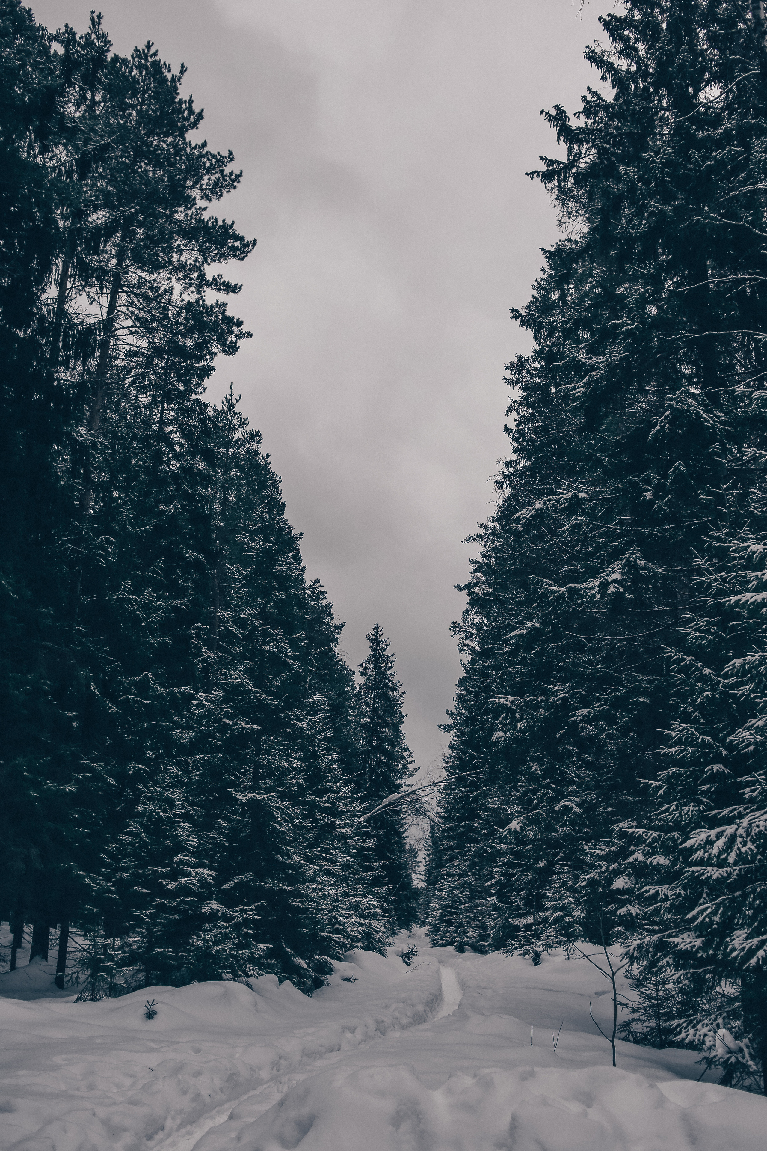 Зима. Главная