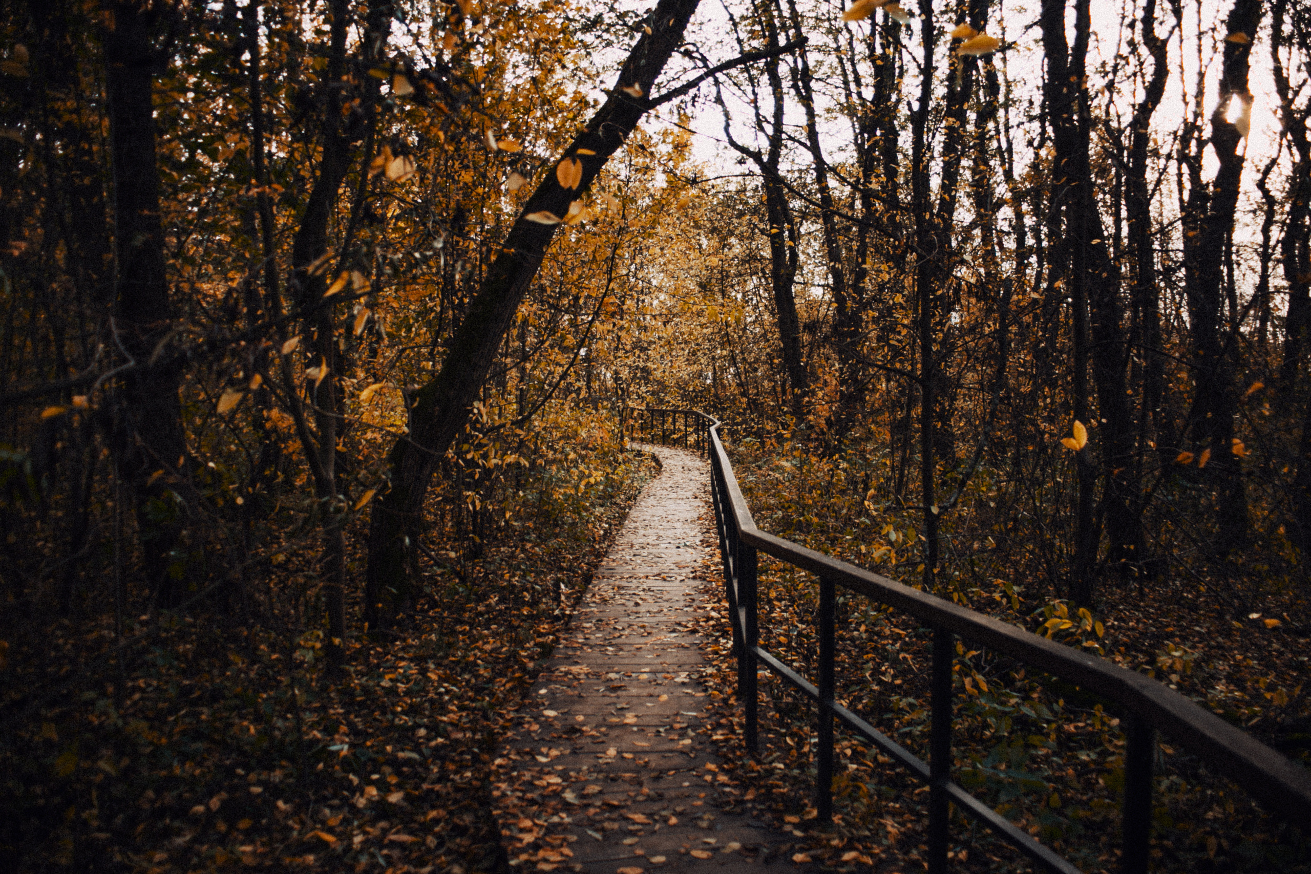 Настроение осень. Главная