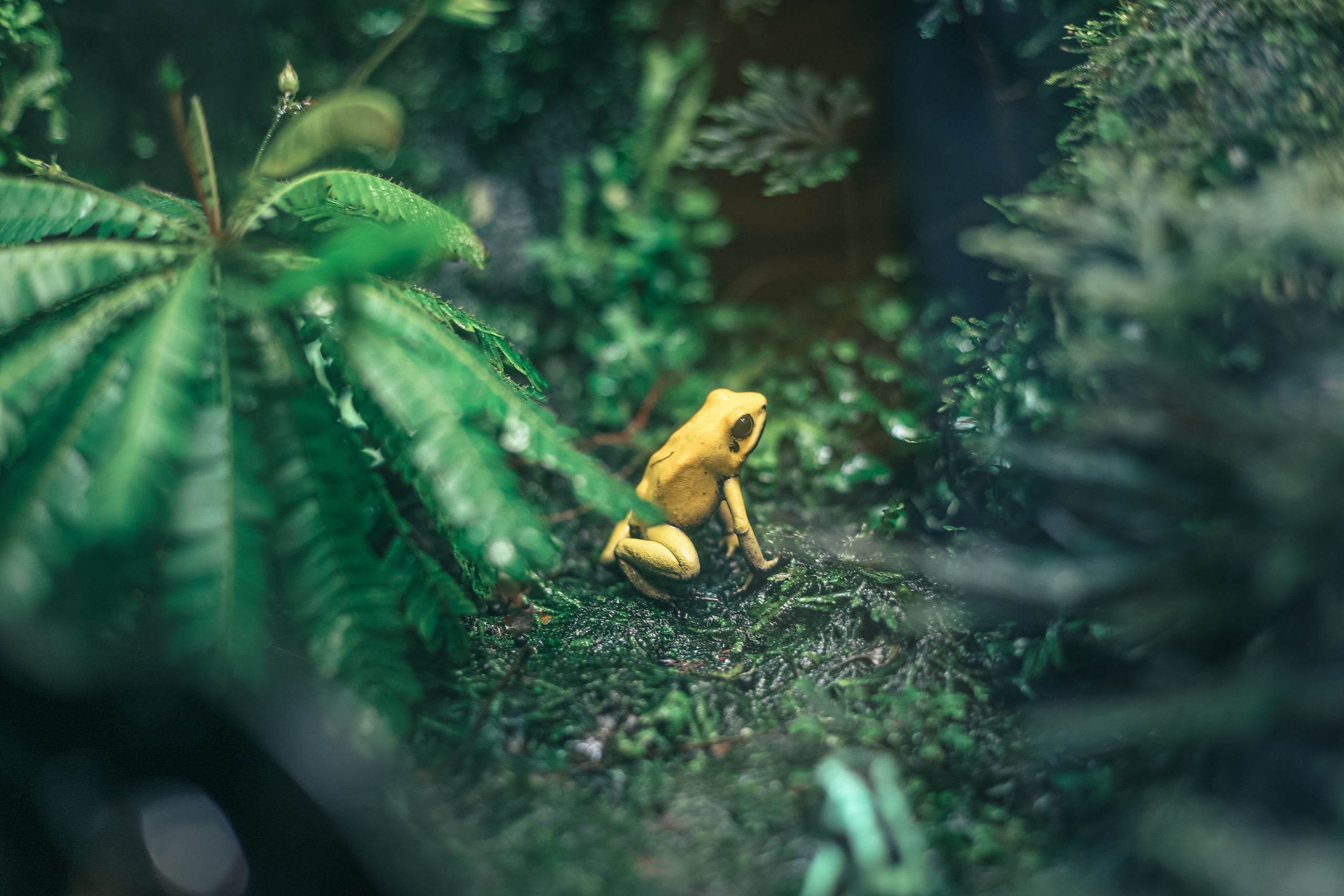 Море. Главная