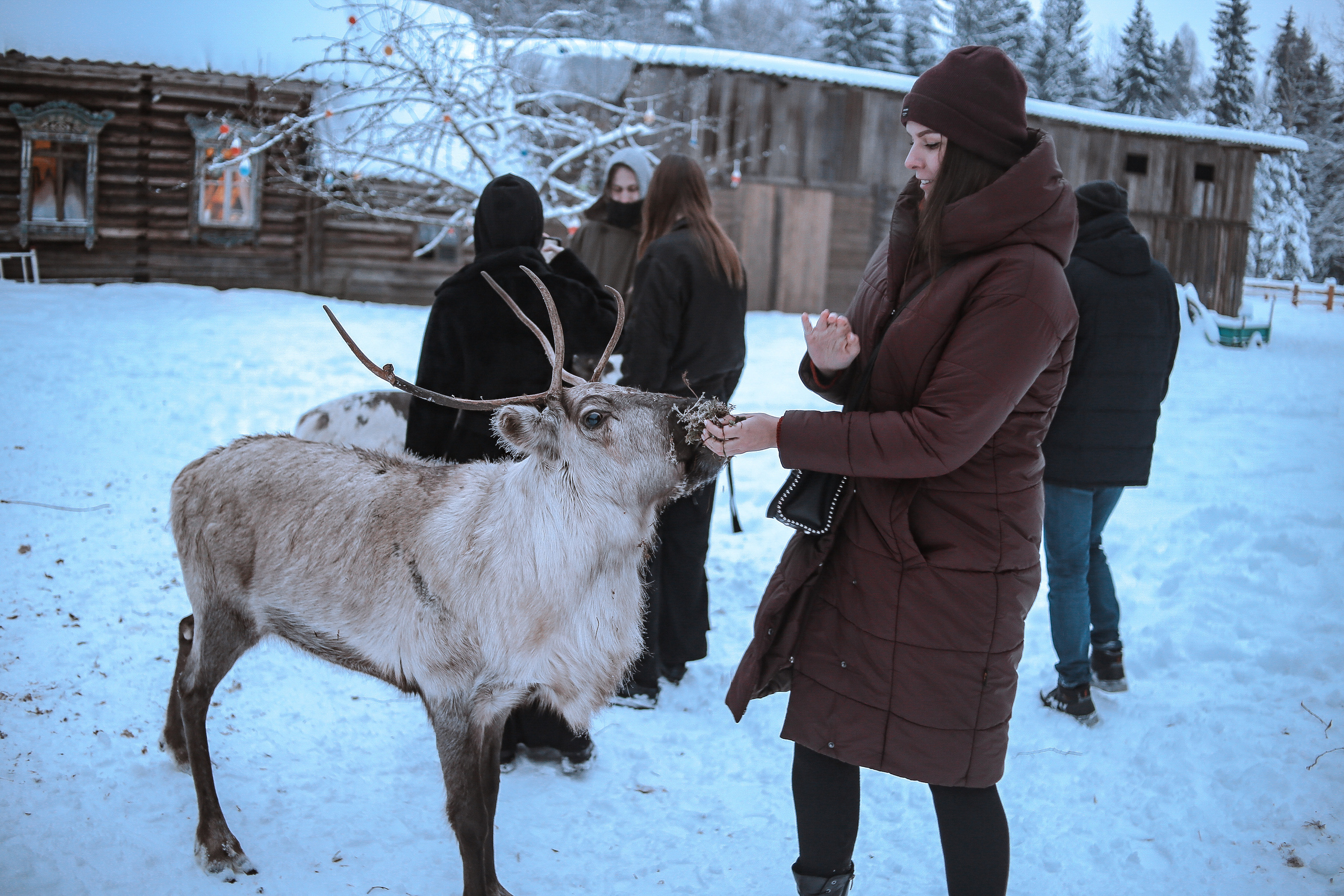 Уличная фотография. Главная