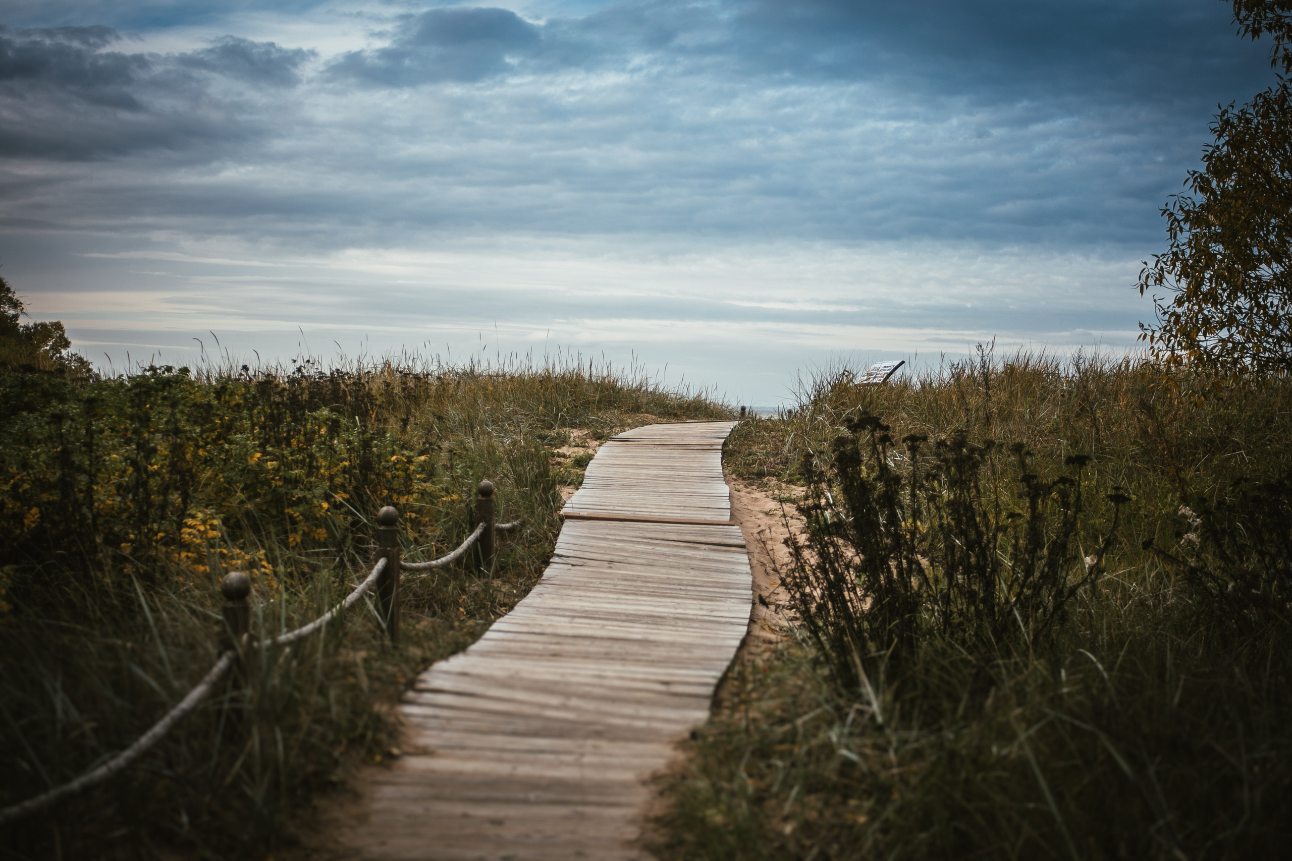 Тут нет людей. Главная