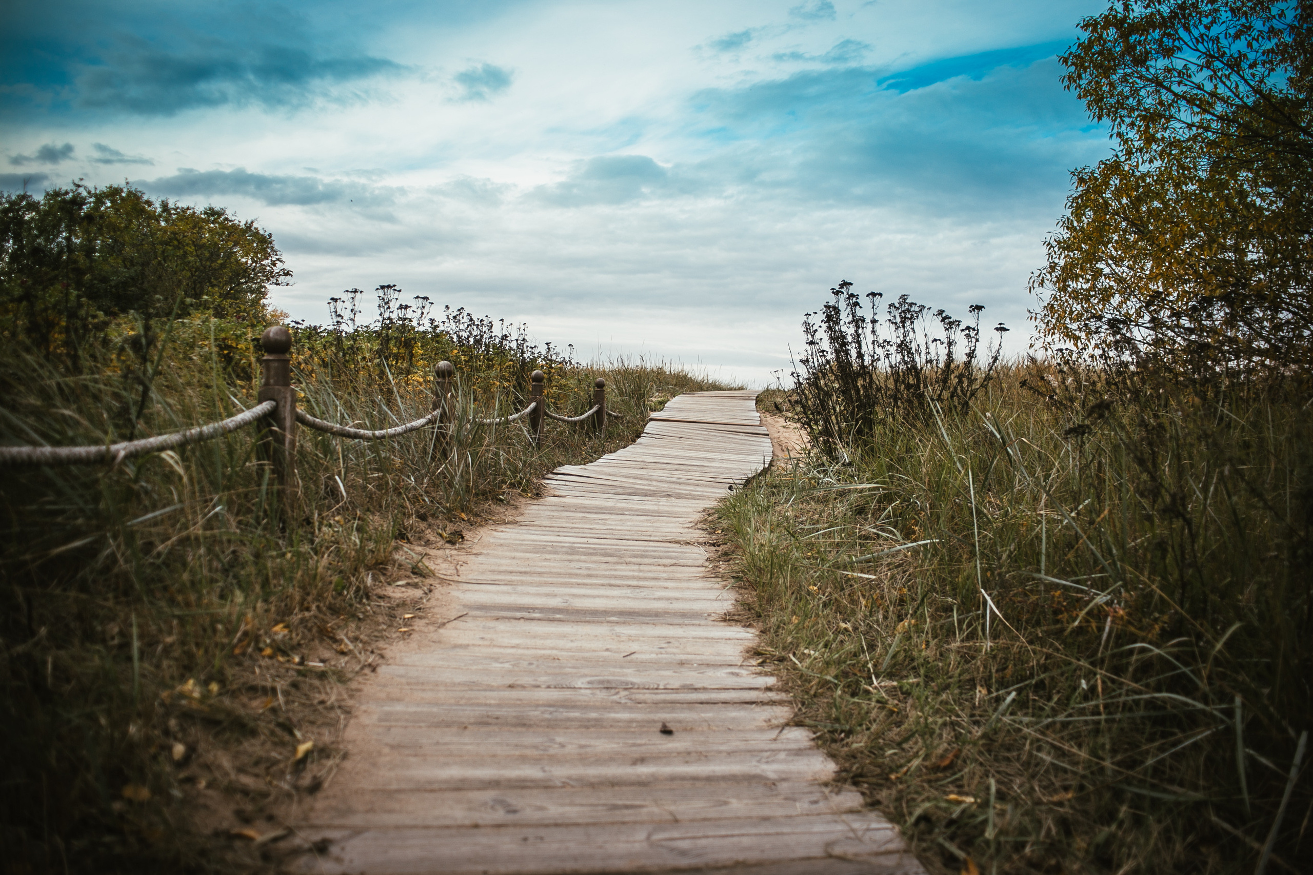 Тут нет людей. Главная