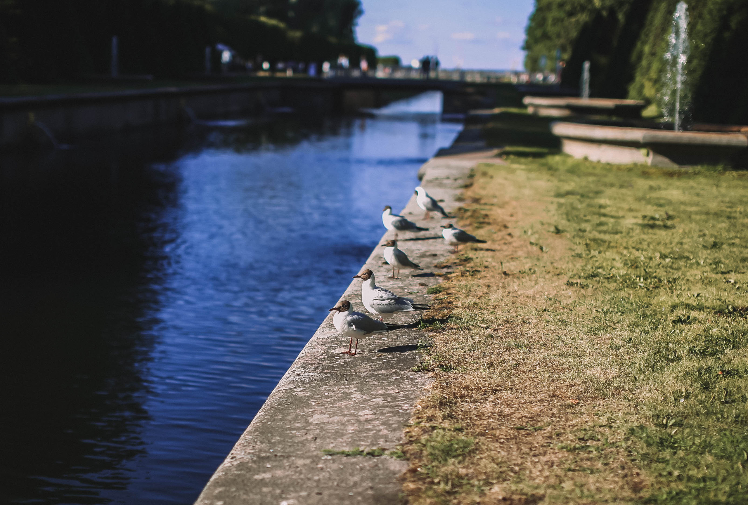 Тут нет людей. Главная