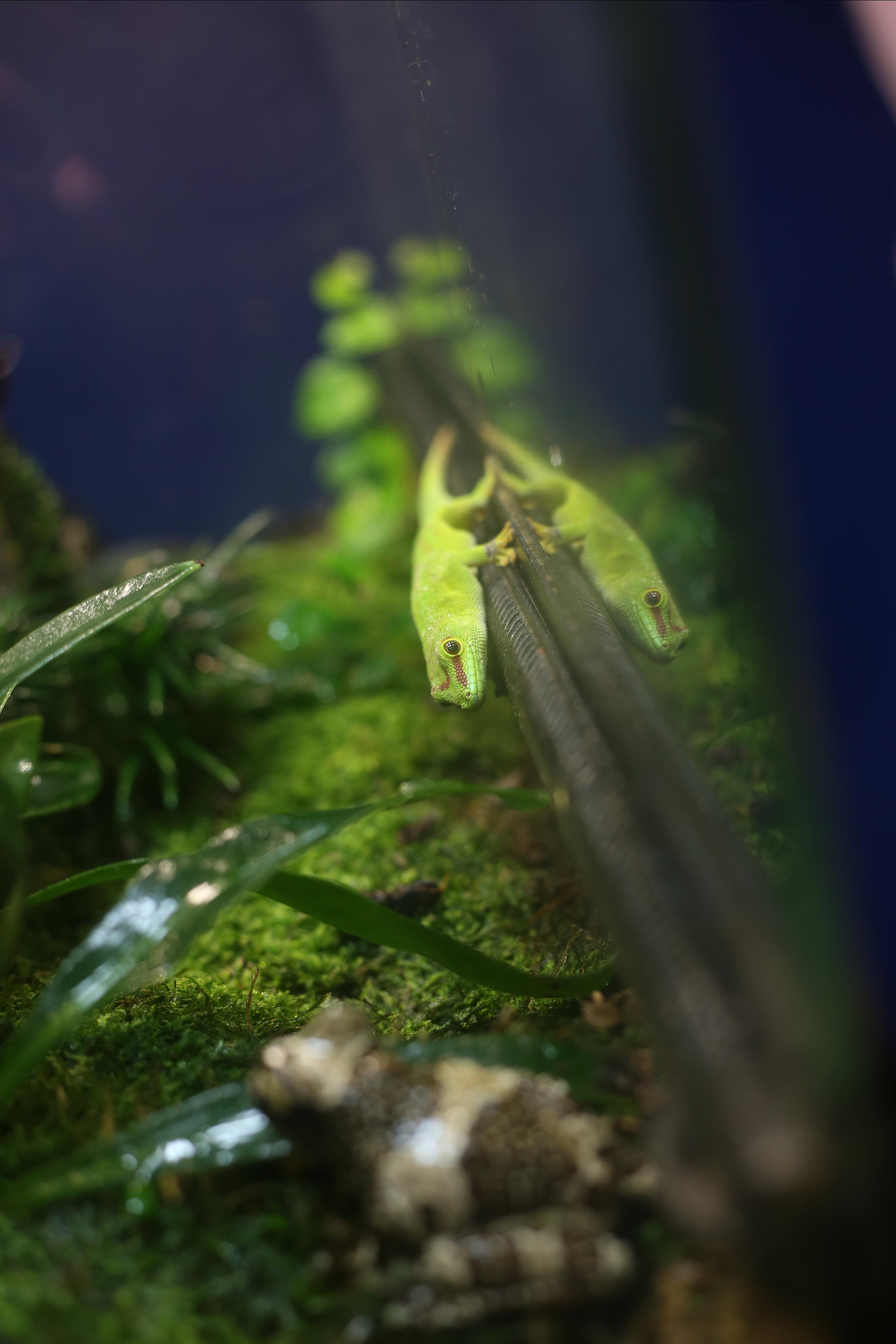 Море. Главная