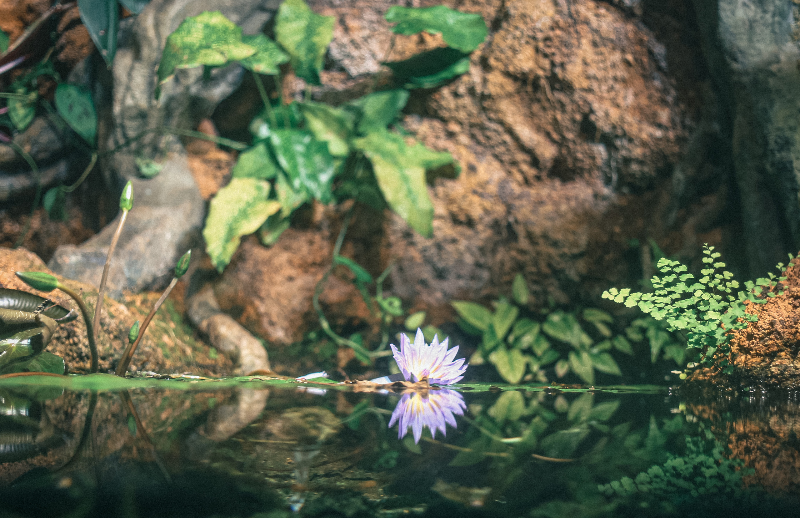 Тут нет людей. Главная