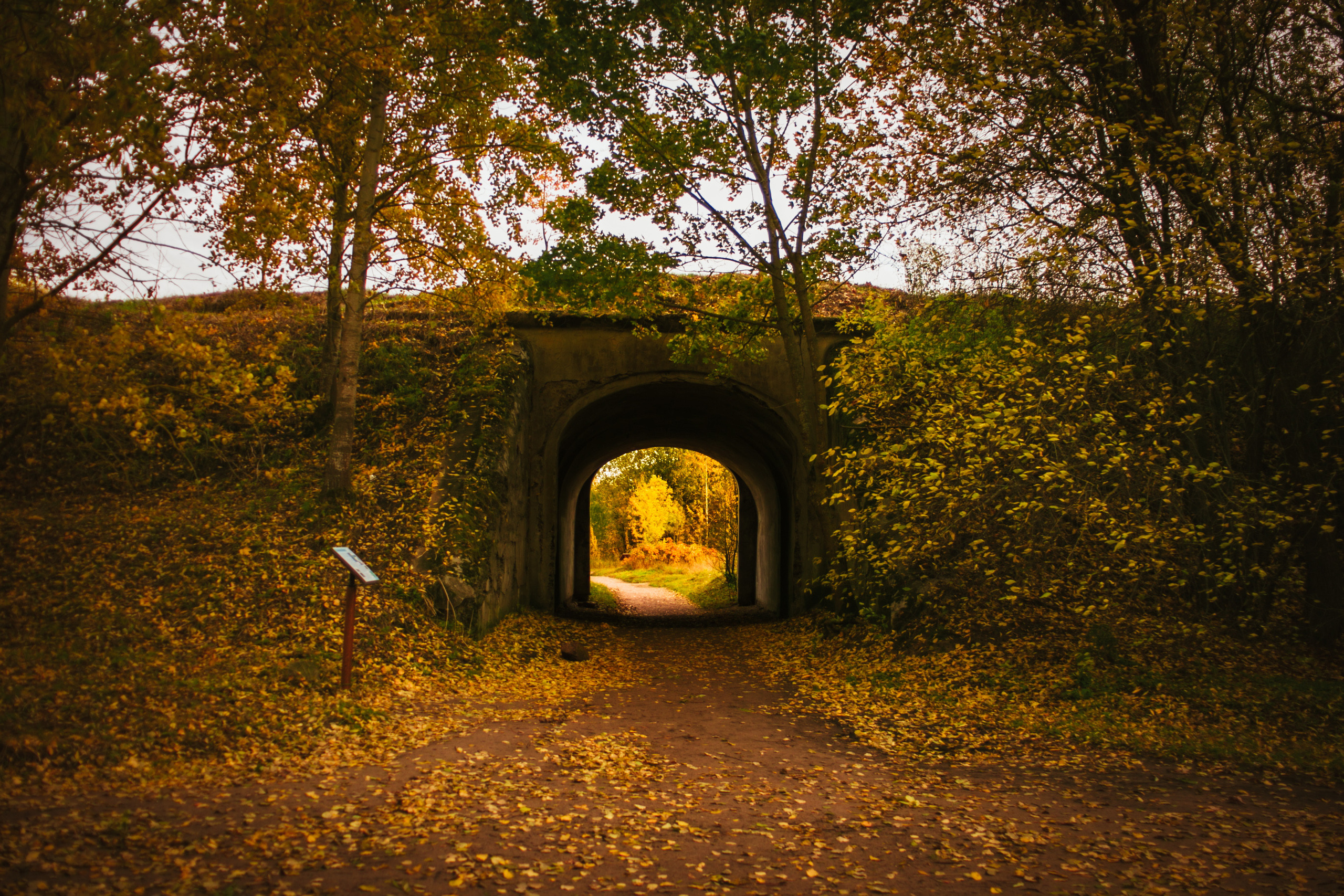Настроение осень. Главная
