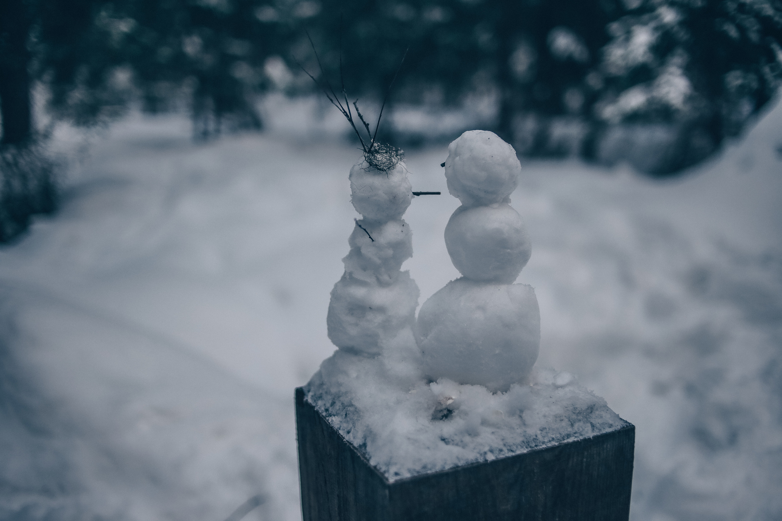 Зима. Главная